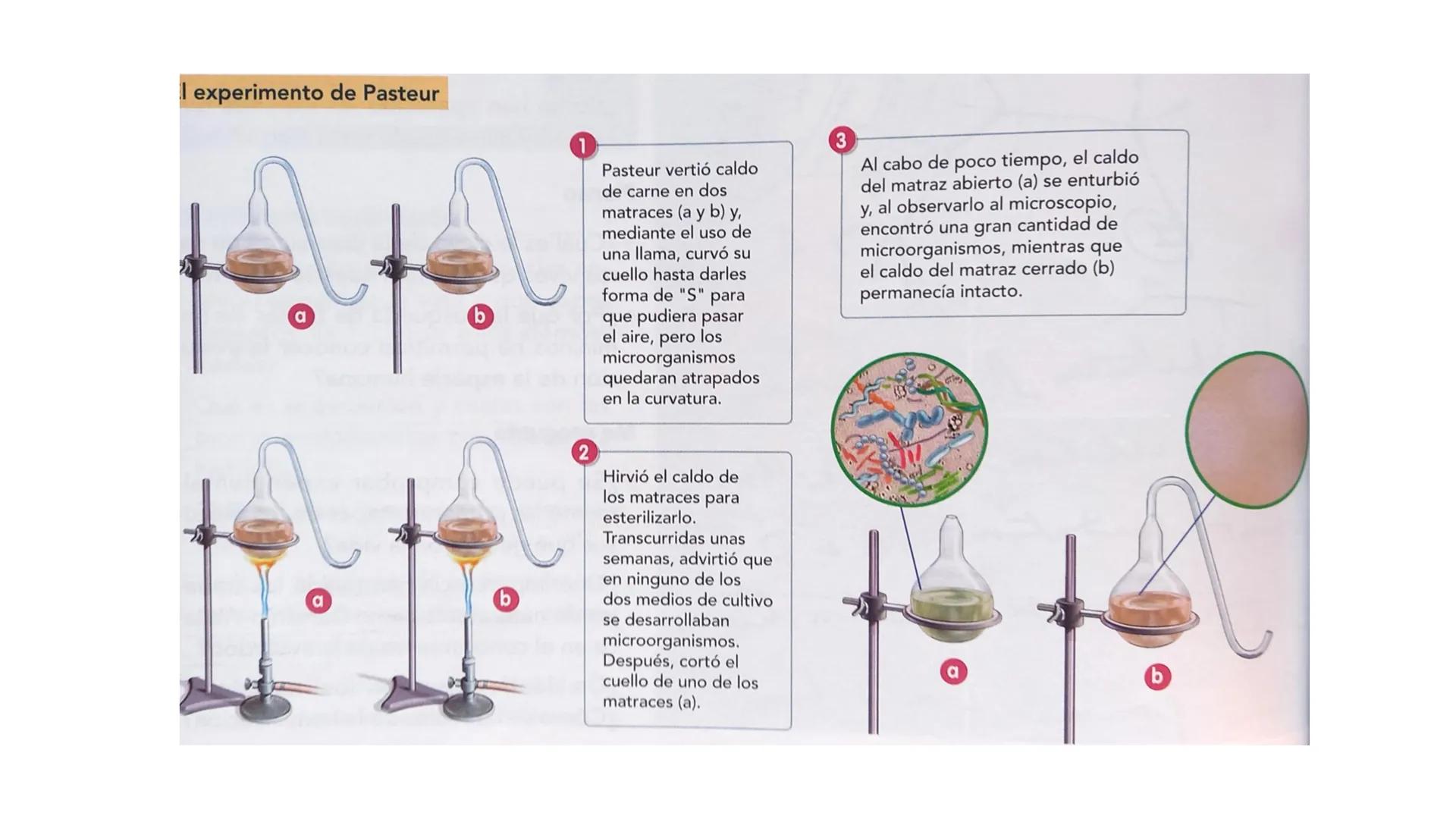 # ORIGEN Y EVOLUCIÓN
# DE LOS SERES VIVOS El origen de la vida Hipótesis sobre
el origen de la
vida
Creacionismo
Experimento de Redi
Generac
