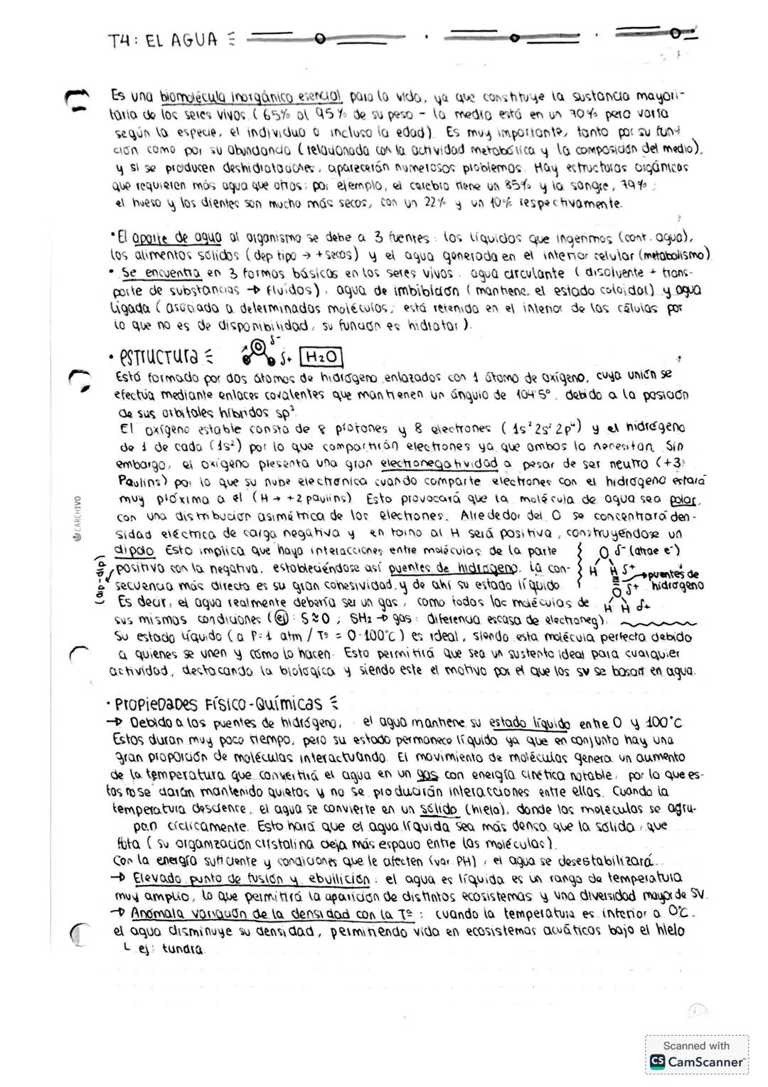 T4: EL AGUA
Es una biomolécula inorgánico esencial para la vida, ya que constituye la sustancia mayori-
taria de los seres vivos (65% ol 95