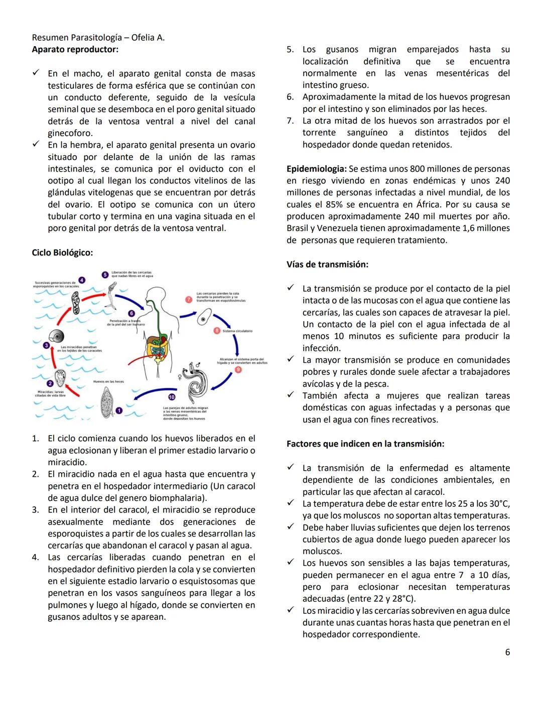 Resumen Parasitología - Ofelia A.
TEMA 10- PHYLUM PLATYHELMINTHES
Los Phylum Platyhelminthes son metazoo que poseen un
cuerpo alargado, apl