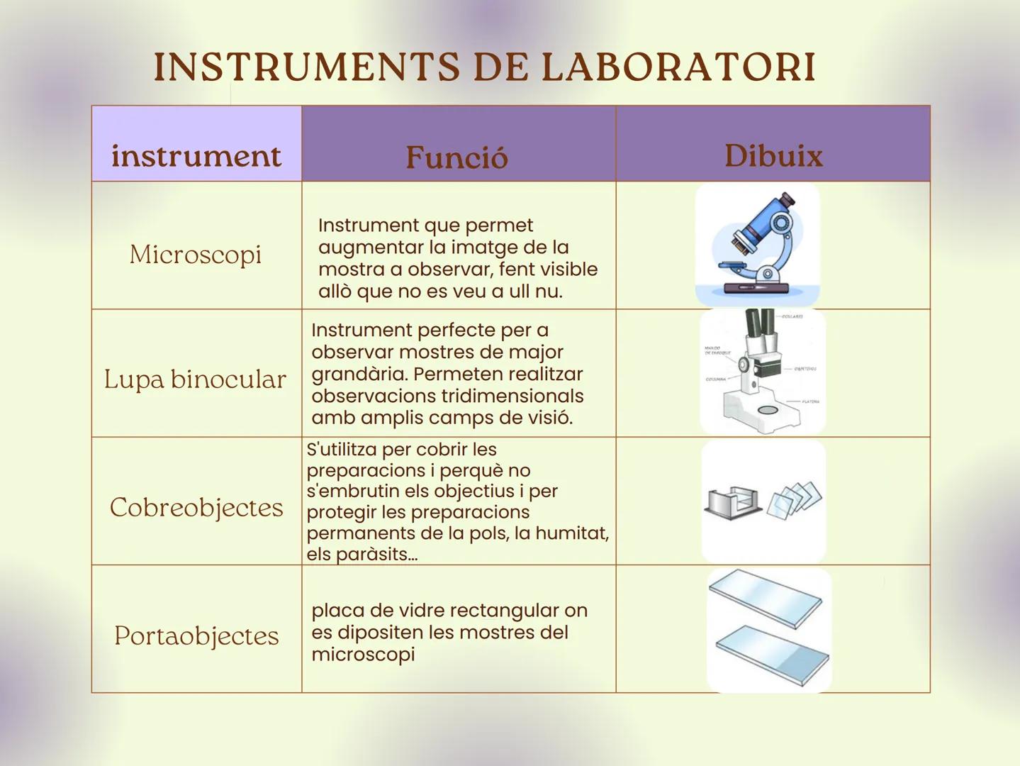 # INSTRUMENTS DE LABORATORI
| instrument | Funció | Dibuix |
|---|---|---|
| Microscopi | Instrument que permet aumentar la imatge de la mo