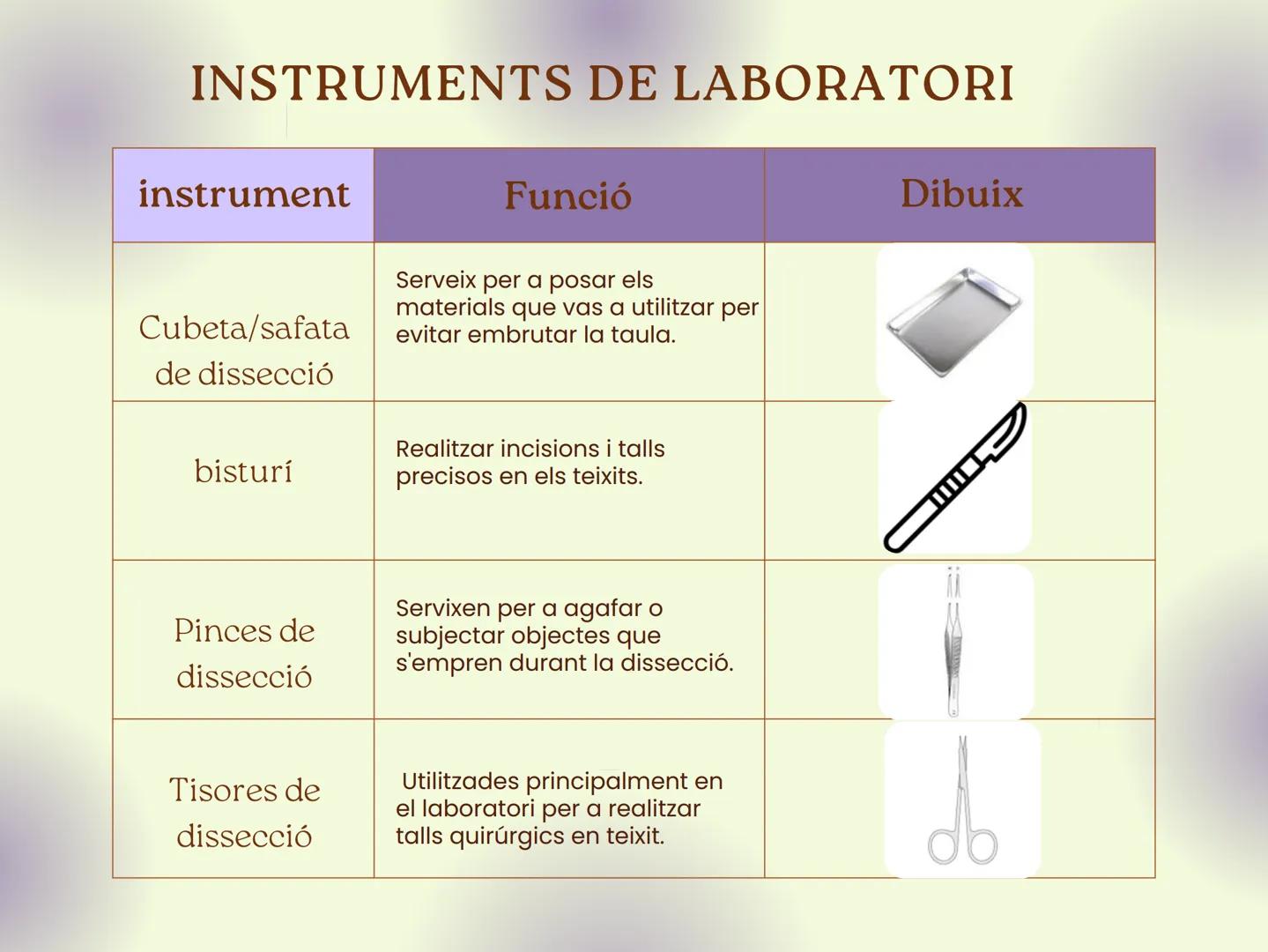 # INSTRUMENTS DE LABORATORI
| instrument | Funció | Dibuix |
|---|---|---|
| Microscopi | Instrument que permet aumentar la imatge de la mo