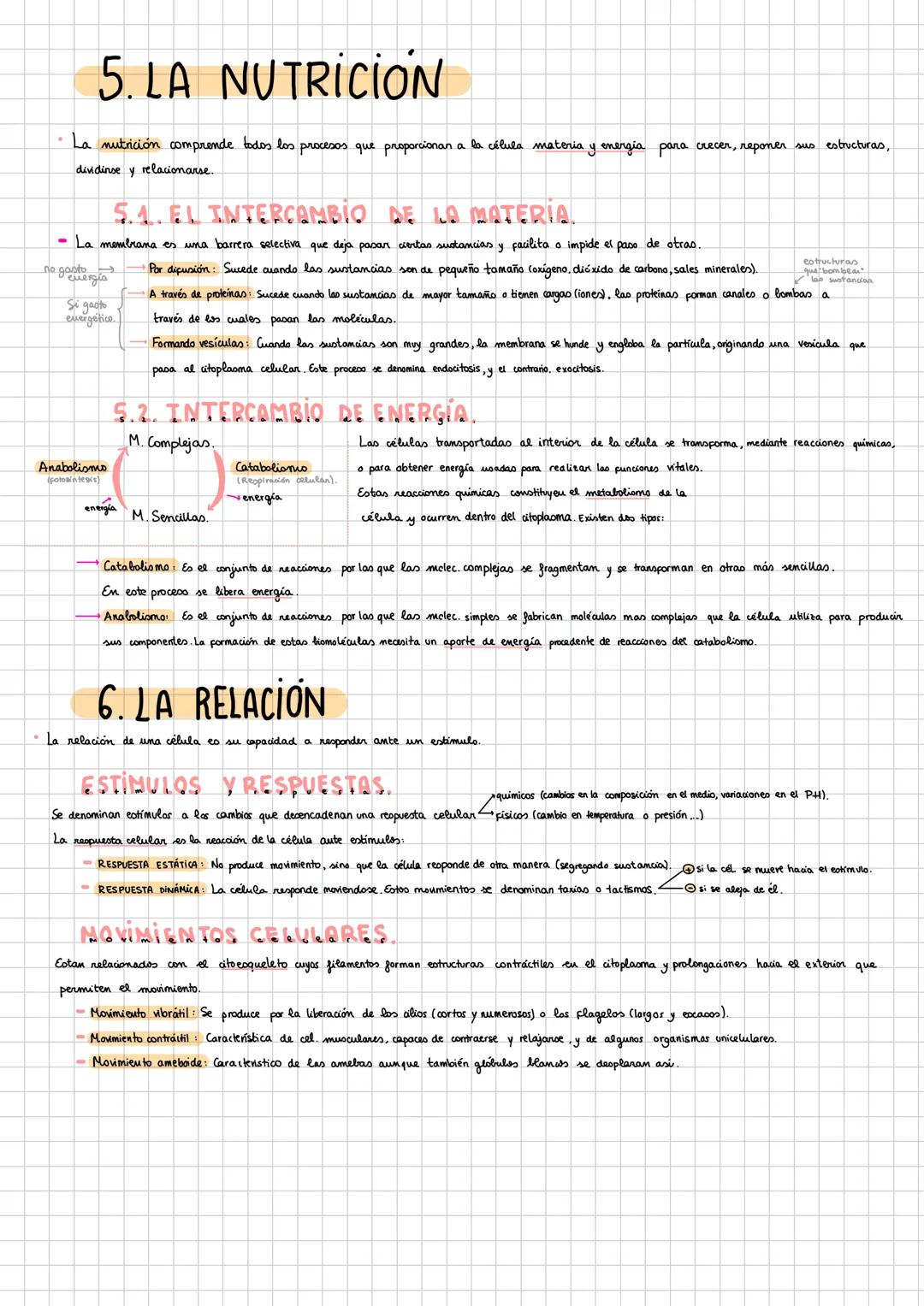 X
# 1. NIVELES DE ORGANİZACIÓN.
ABLÓTICOS (sin Mda
1 Nivel subatómico (pt,e; n')
2 Nivel atómico. (C,H,N,P,O,S) (calcio)
sencillas (1,0)