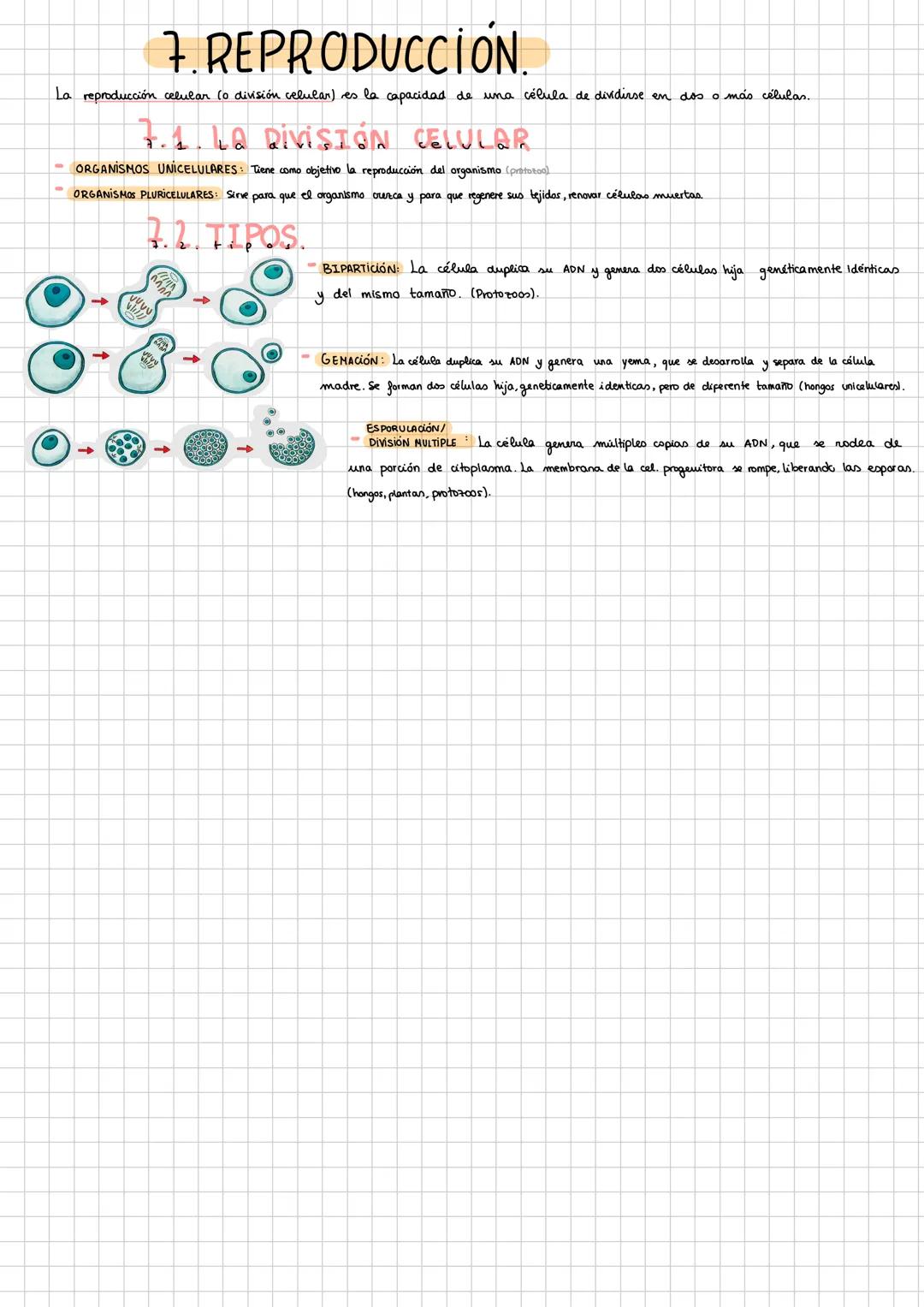 X
# 1. NIVELES DE ORGANİZACIÓN.
ABLÓTICOS (sin Mda
1 Nivel subatómico (pt,e; n')
2 Nivel atómico. (C,H,N,P,O,S) (calcio)
sencillas (1,0)