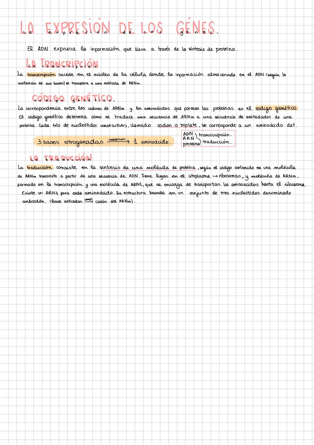 X
# 1. NIVELES DE ORGANİZACIÓN.
ABLÓTICOS (sin Mda
1 Nivel subatómico (pt,e; n')
2 Nivel atómico. (C,H,N,P,O,S) (calcio)
sencillas (1,0)