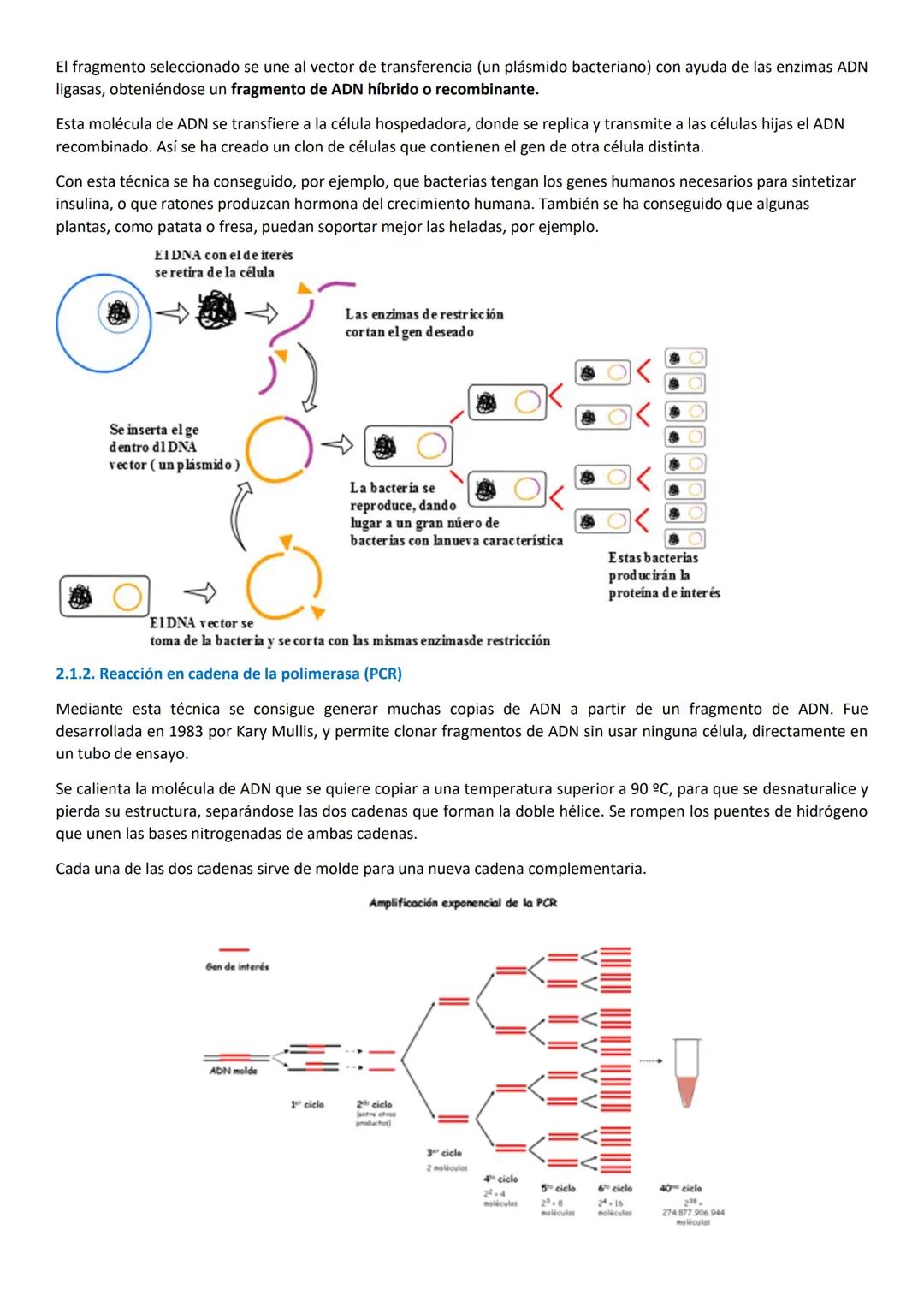 # 1. LA BIOTECNOLOGÍA.
Es la aplicación de la tecnología a los procesos biológicos. Utiliza organismos vivos o sus derivados para la obtenc