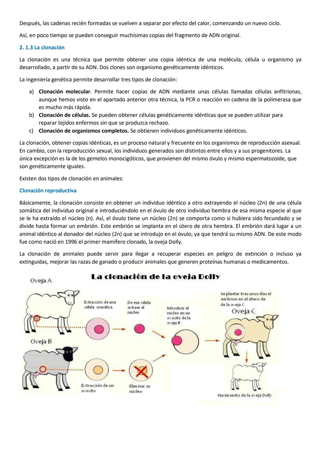 # 1. LA BIOTECNOLOGÍA.
Es la aplicación de la tecnología a los procesos biológicos. Utiliza organismos vivos o sus derivados para la obtenc