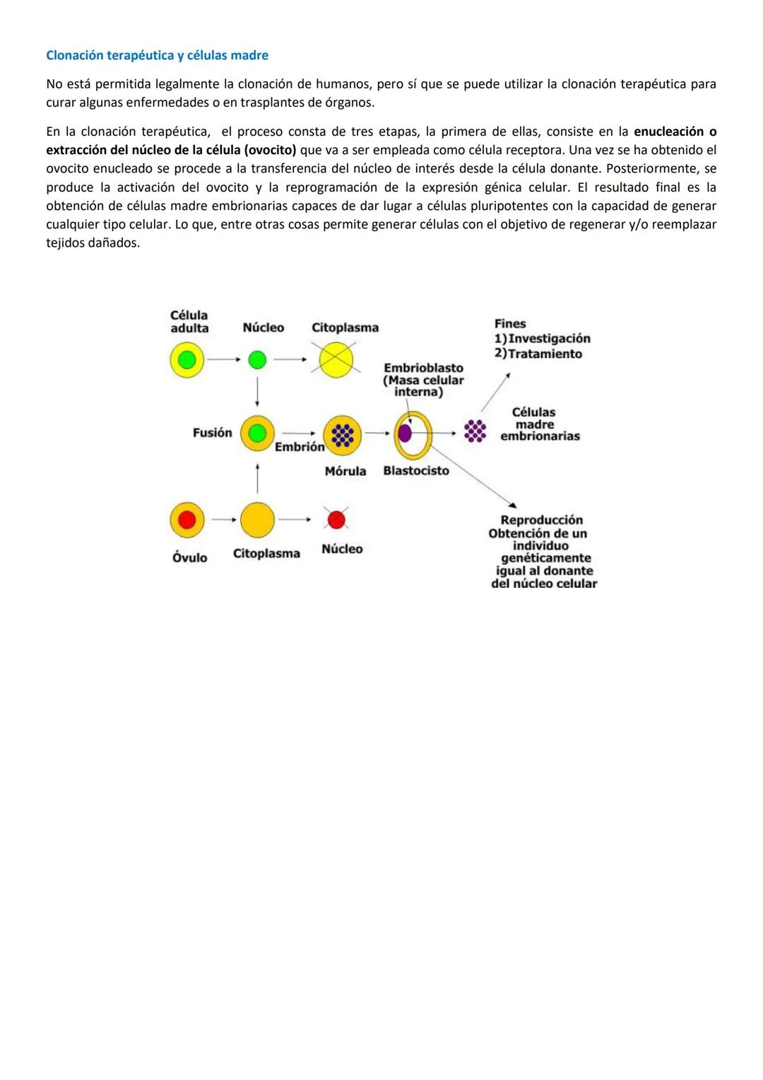 # 1. LA BIOTECNOLOGÍA.
Es la aplicación de la tecnología a los procesos biológicos. Utiliza organismos vivos o sus derivados para la obtenc
