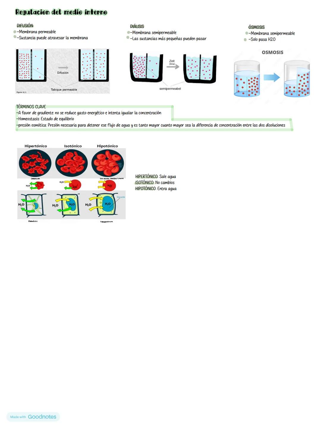 # LA BASE DE LA QUÍMICA
# Los bioelementos
Los bioelementos son los elementos quimicos que forman la materia de los seres vivos
Primarios