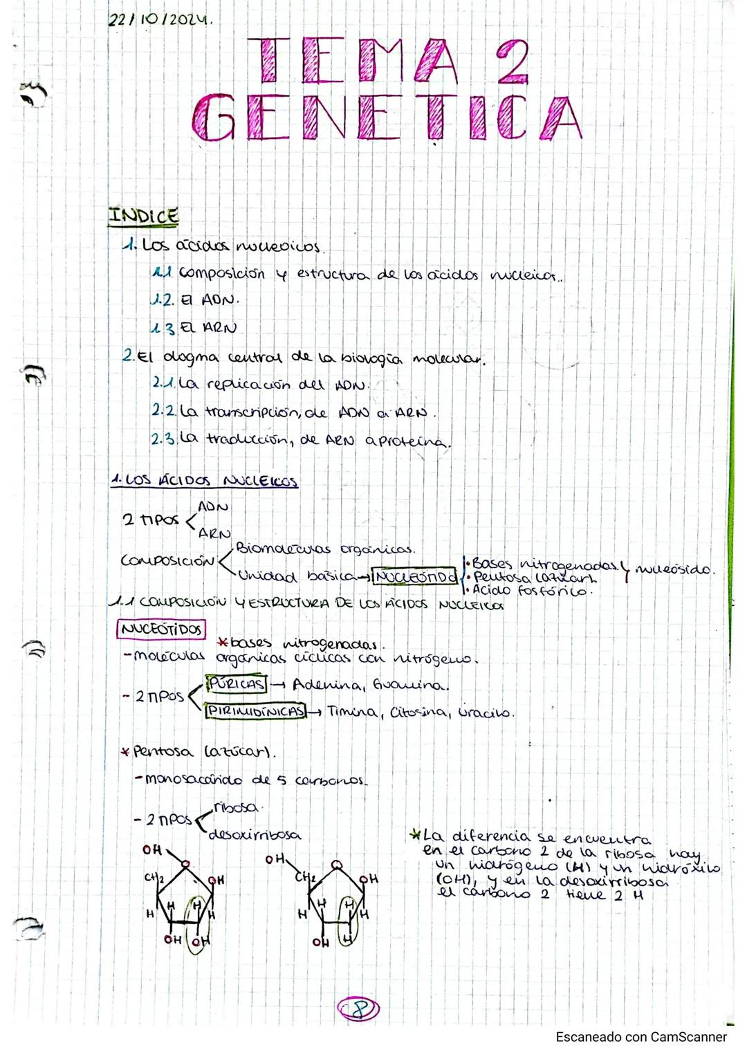 22/10/2024.
TEMA 2
GENETICA
INDICE
1. Los ácidos nucleoicos.
Al composición y estructura de los ácidos nucleica....
1.2. AON.
13 EL ARN
2.