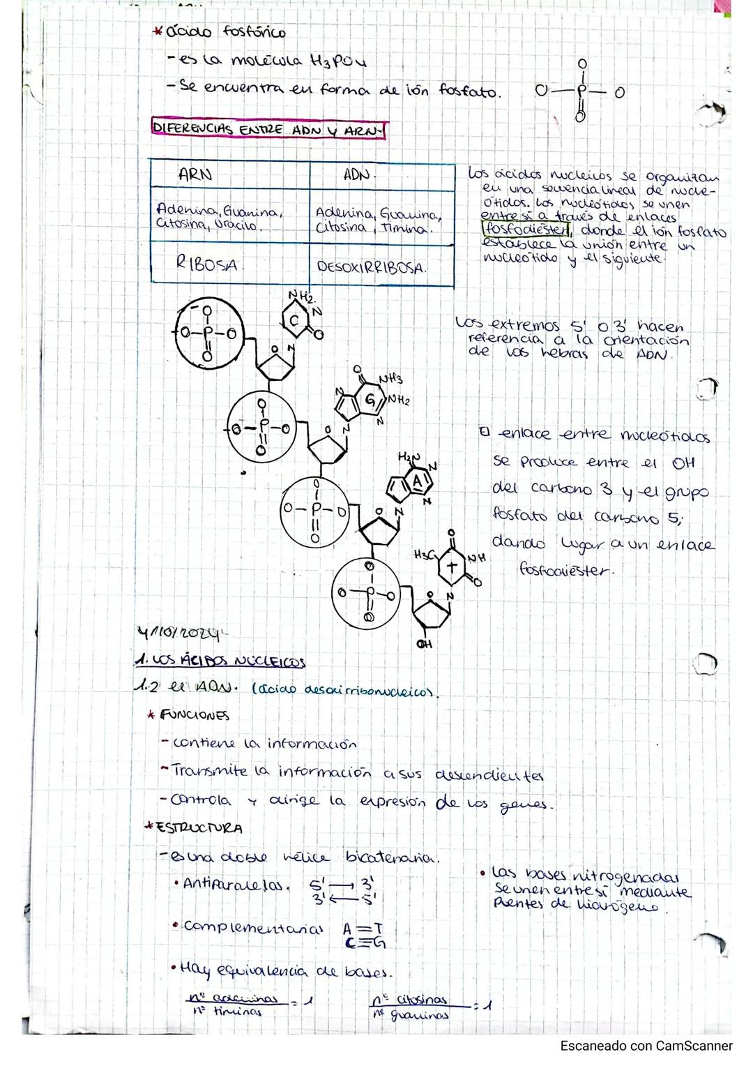 22/10/2024.
TEMA 2
GENETICA
INDICE
1. Los ácidos nucleoicos.
Al composición y estructura de los ácidos nucleica....
1.2. AON.
13 EL ARN
2.