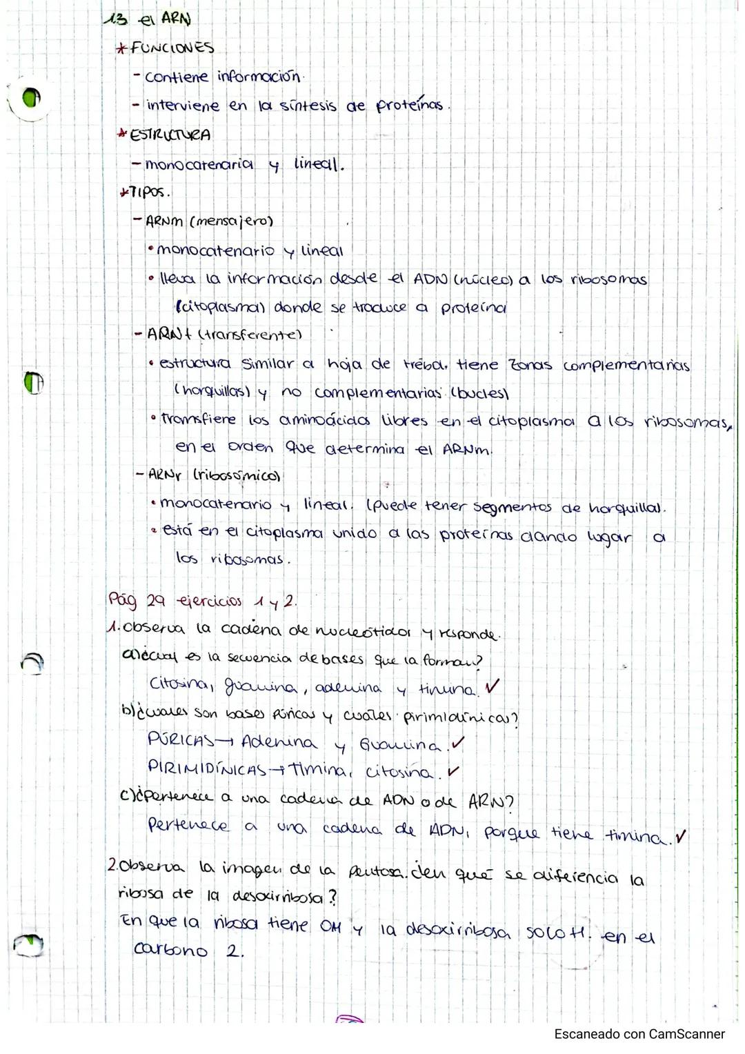 22/10/2024.
TEMA 2
GENETICA
INDICE
1. Los ácidos nucleoicos.
Al composición y estructura de los ácidos nucleica....
1.2. AON.
13 EL ARN
2.