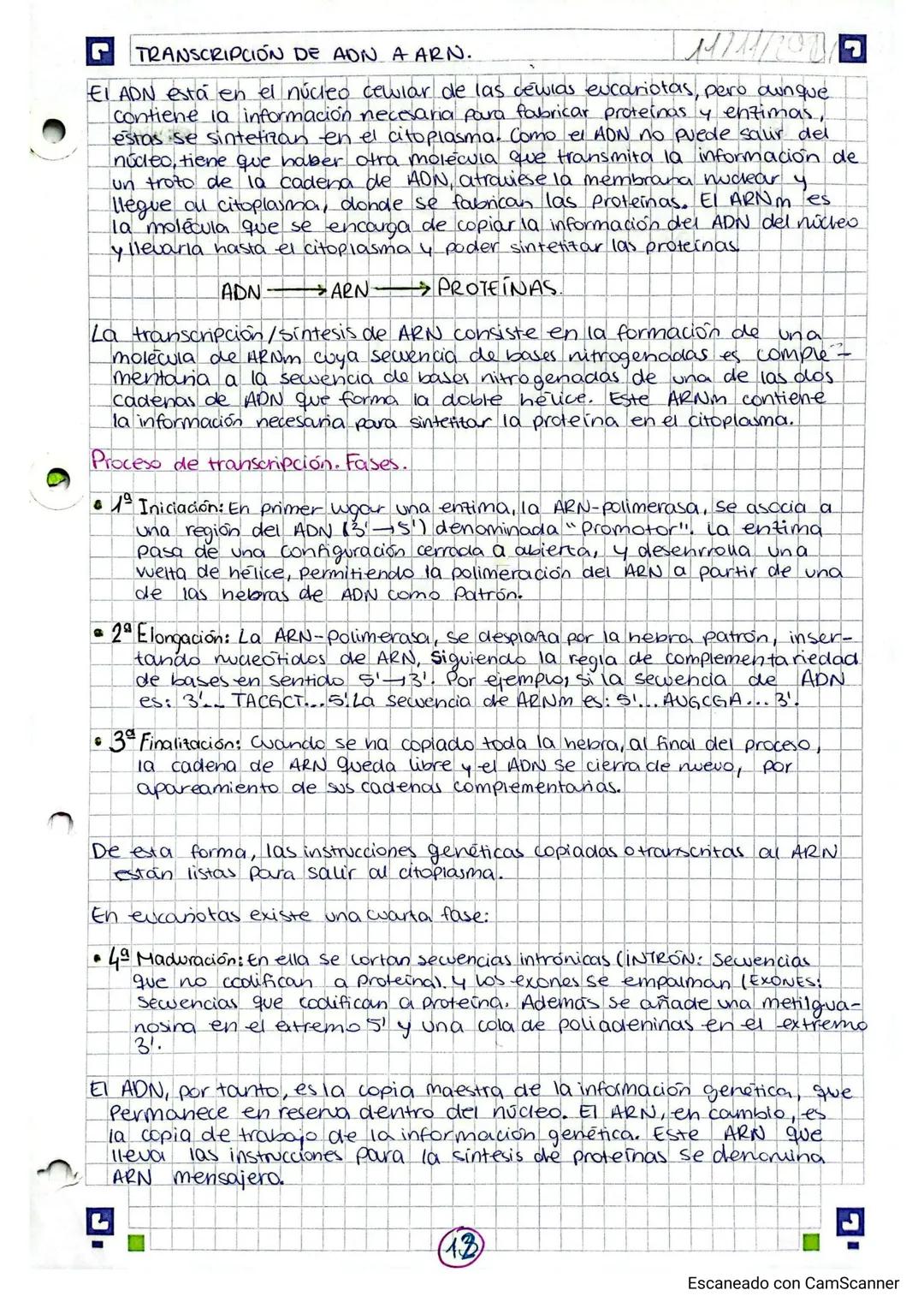 22/10/2024.
TEMA 2
GENETICA
INDICE
1. Los ácidos nucleoicos.
Al composición y estructura de los ácidos nucleica....
1.2. AON.
13 EL ARN
2.