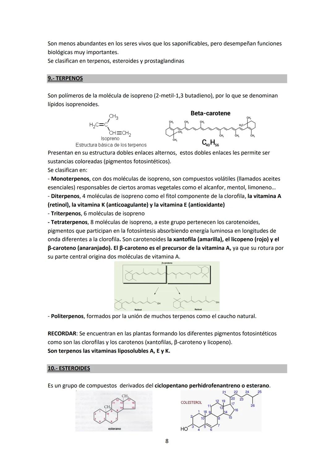 --- OCR Start ---
UNIDAD 3: LÍPIDOS.
1.- CARACTERÍSTICAS GENERALES.
- Es un grupo muy heterogéneo, no son polímeros (no están formados por u