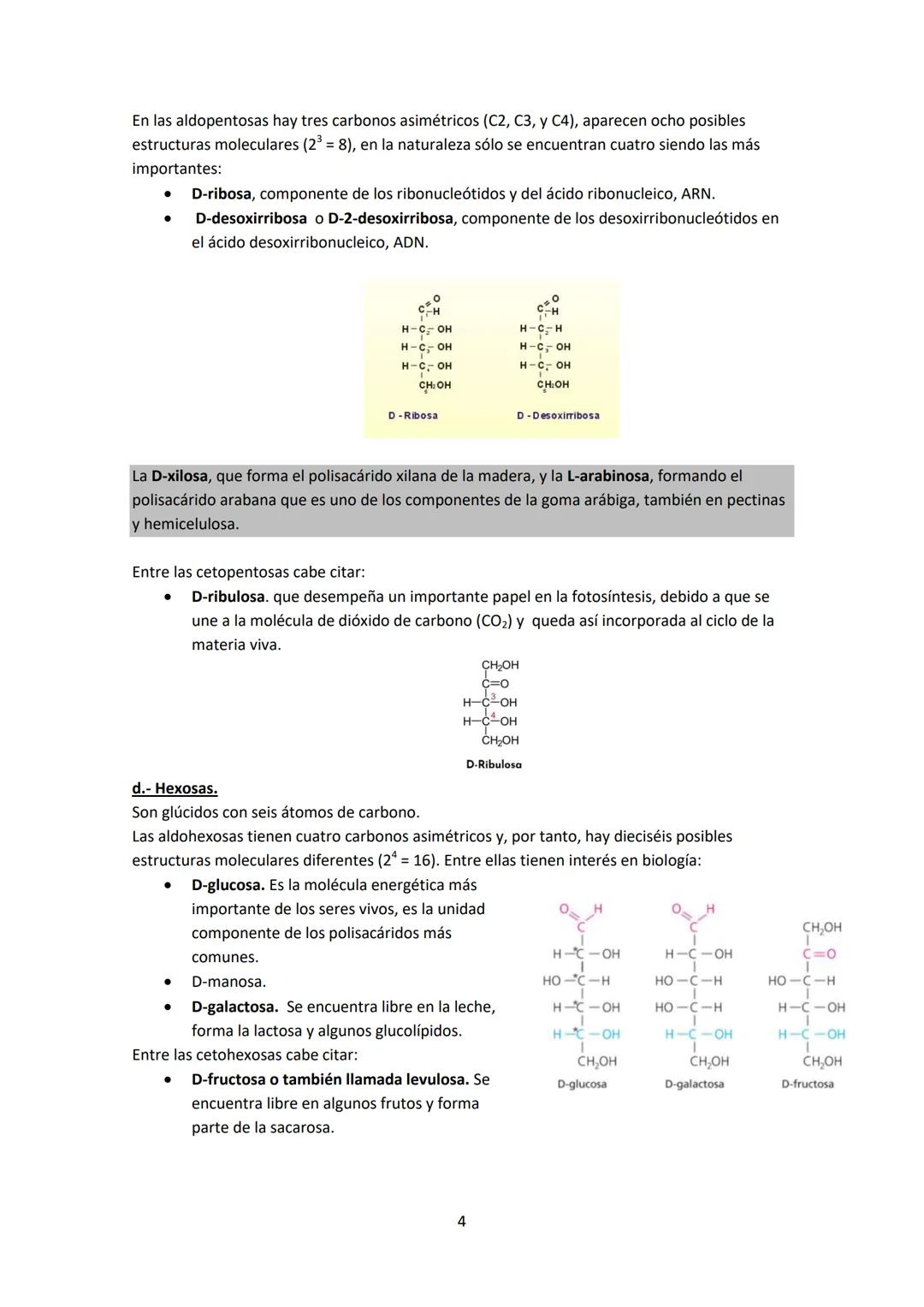1.- CONCEPTO DE GLÚCIDO.
UNIDAD 2 - GLÚCIDOS
Los glúcidos son biomoléculas formadas por C, Hy O en una proporción CnH2nOn
Se les llaman tamb