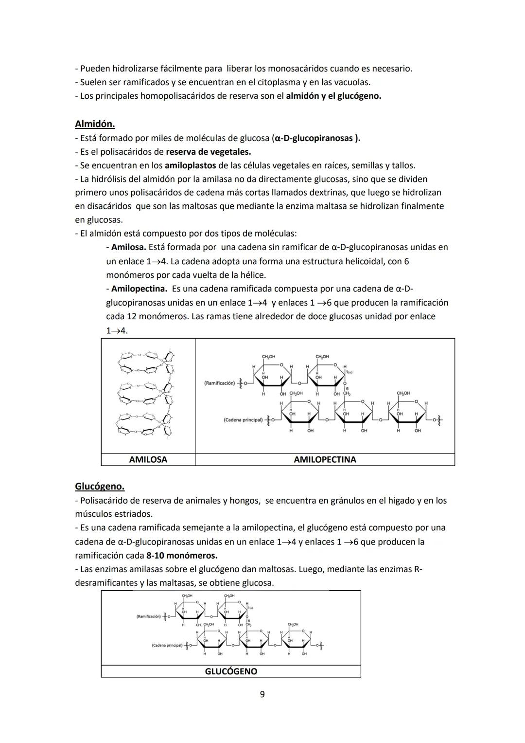 1.- CONCEPTO DE GLÚCIDO.
UNIDAD 2 - GLÚCIDOS
Los glúcidos son biomoléculas formadas por C, Hy O en una proporción CnH2nOn
Se les llaman tamb