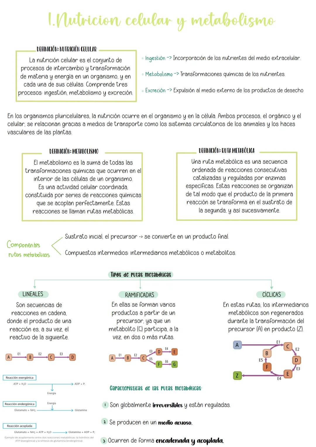 Tema 10:
Metabolismo:
Catabolismo
İndice:
1 Nutrición celular y metabolismo
2. Catabolismo
3 Catabolismo de los glúcidos
3.1 Catabolis