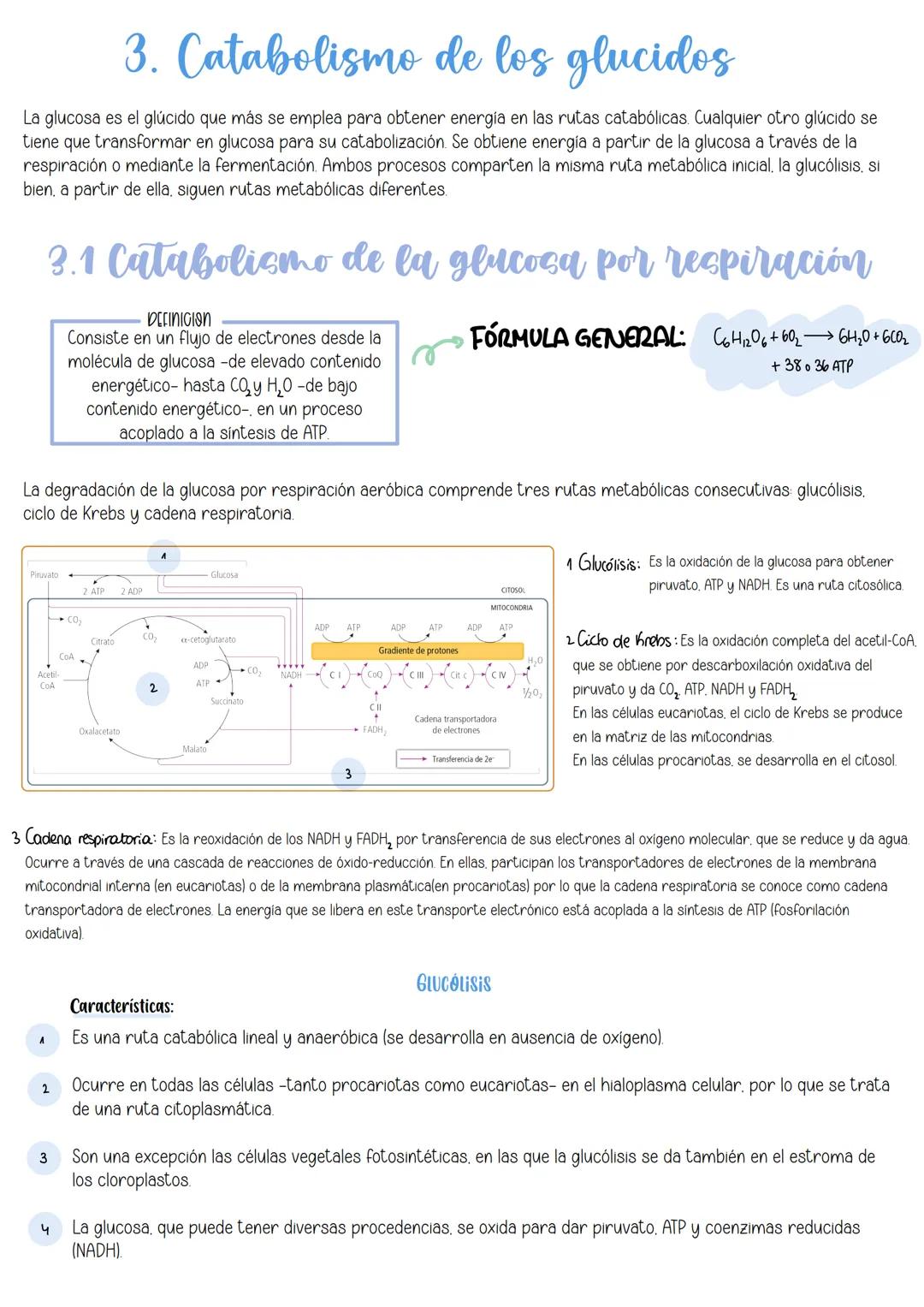 Tema 10:
Metabolismo:
Catabolismo
İndice:
1 Nutrición celular y metabolismo
2. Catabolismo
3 Catabolismo de los glúcidos
3.1 Catabolis