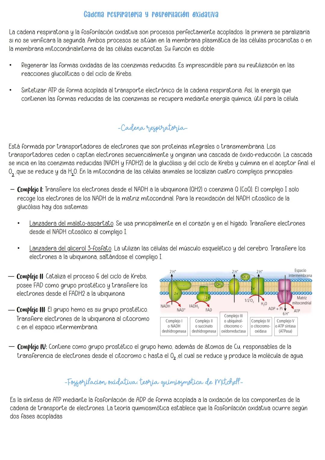 Tema 10:
Metabolismo:
Catabolismo
İndice:
1 Nutrición celular y metabolismo
2. Catabolismo
3 Catabolismo de los glúcidos
3.1 Catabolis