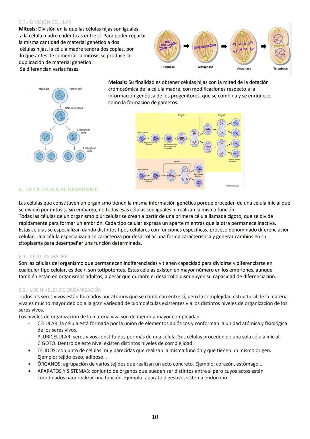 A pesar de ser eléctricamente neutra, la molécula de agua tiene carácter dipolar lo que favorece la interacción entre
moléculas de agua form
