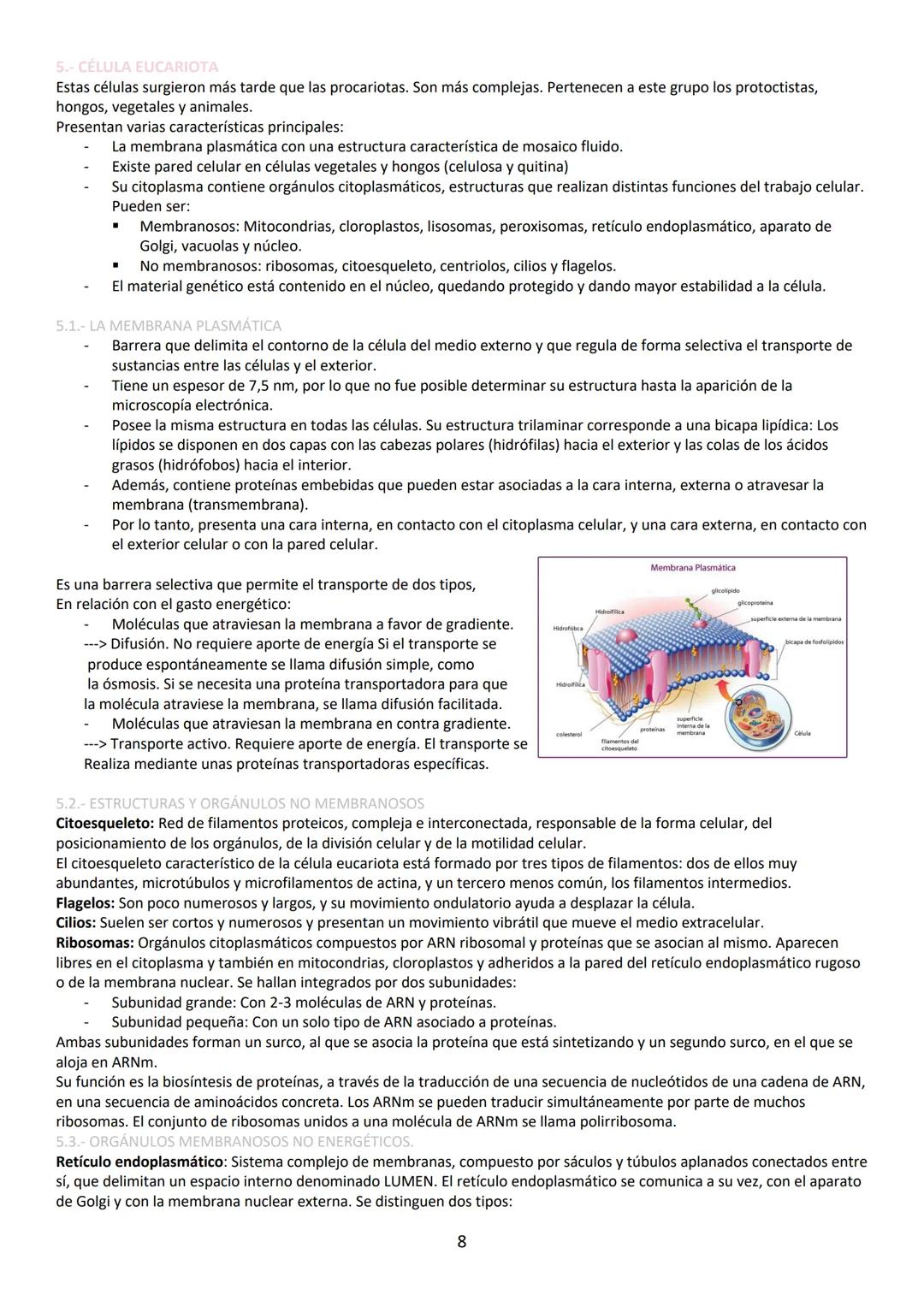 A pesar de ser eléctricamente neutra, la molécula de agua tiene carácter dipolar lo que favorece la interacción entre
moléculas de agua form