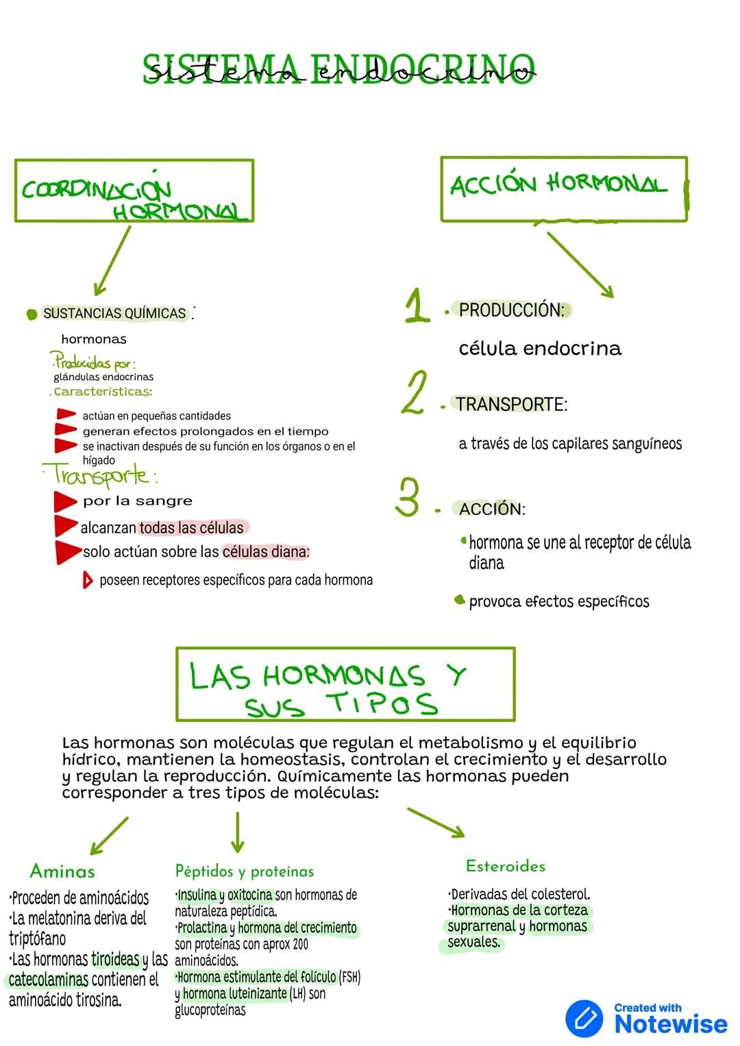 # SISTEMA ENDOCRINO
COORDINACION
HORMONA
• SUSTANCIAS QUÍMICAS
hormonas
Producidas por:
glándulas endocrinas
.Características:
actúan e