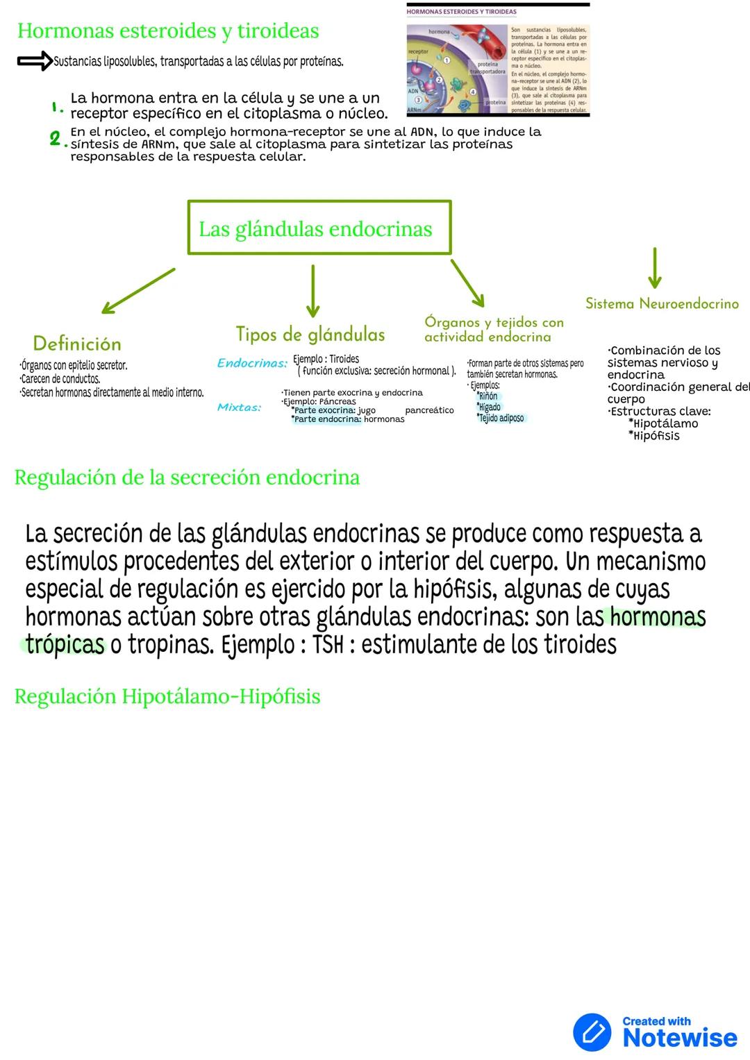 # SISTEMA ENDOCRINO
COORDINACION
HORMONA
• SUSTANCIAS QUÍMICAS
hormonas
Producidas por:
glándulas endocrinas
.Características:
actúan e