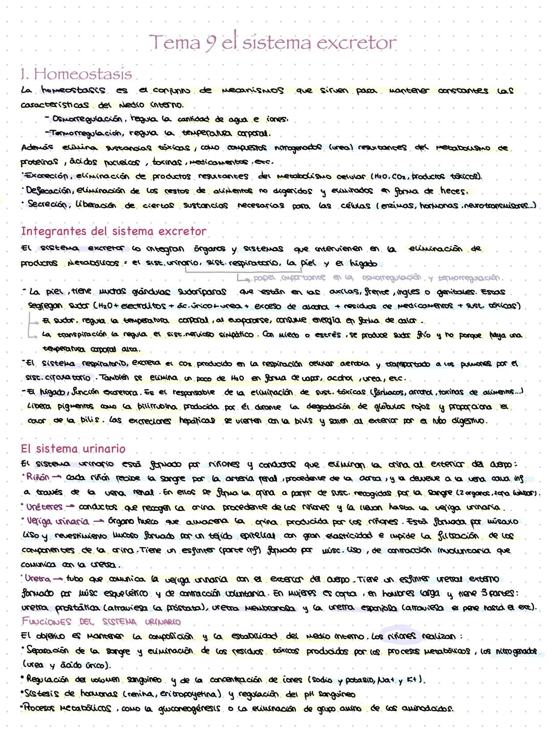 NOTEBOOK Tema 9 el sistema excretor
1. Homeostasis
La homeostasis
es el conjunto de mecanismos que sirven para mantener conscantes cas
car
