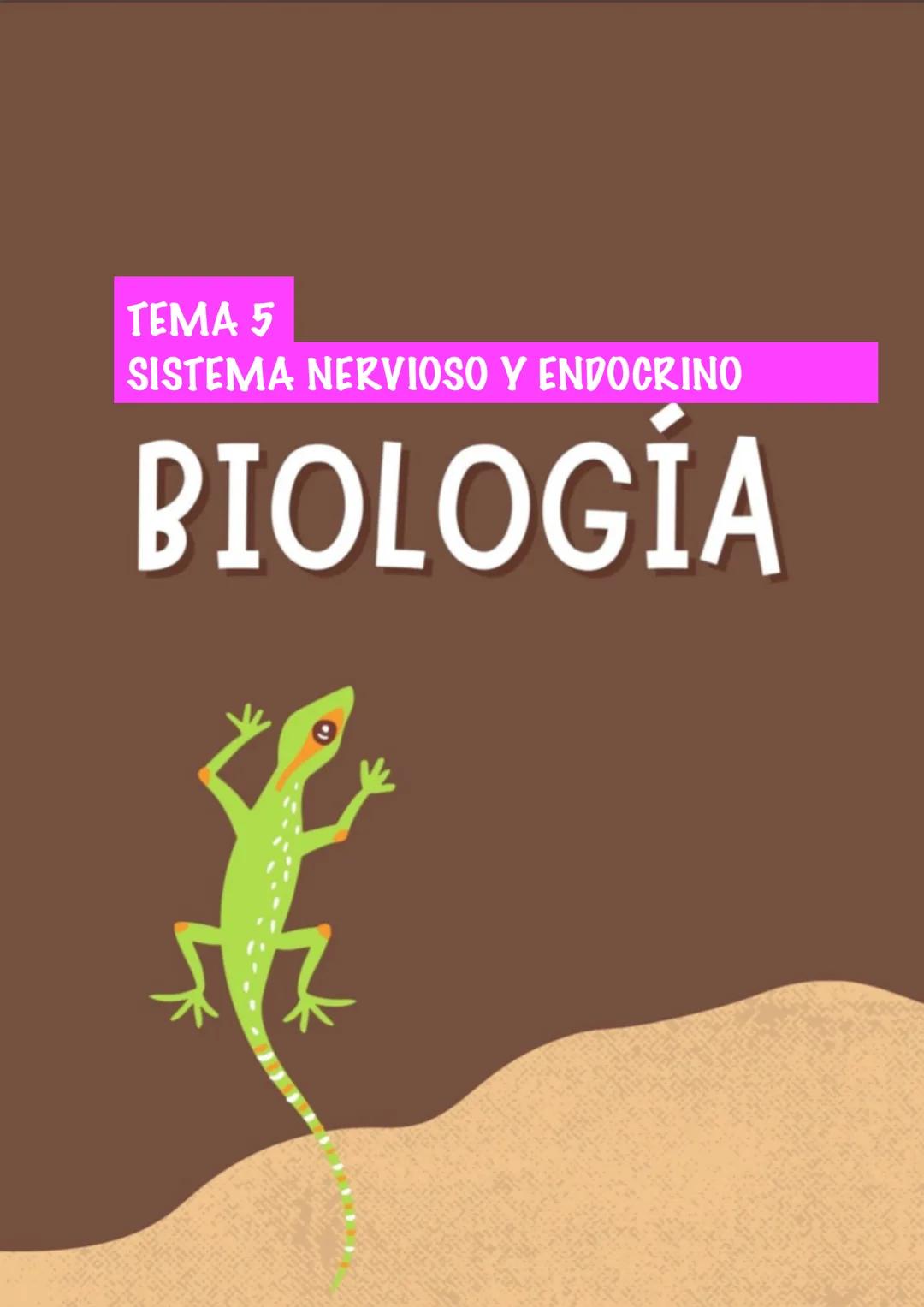 # TEMA 5
SISTEMA NERVIOSO Y ENDOCRINO
# BIOLOGÍA --- OCR Start ---
¿Que es la función de relación?
¿Que sistemas intervienen?
La función de