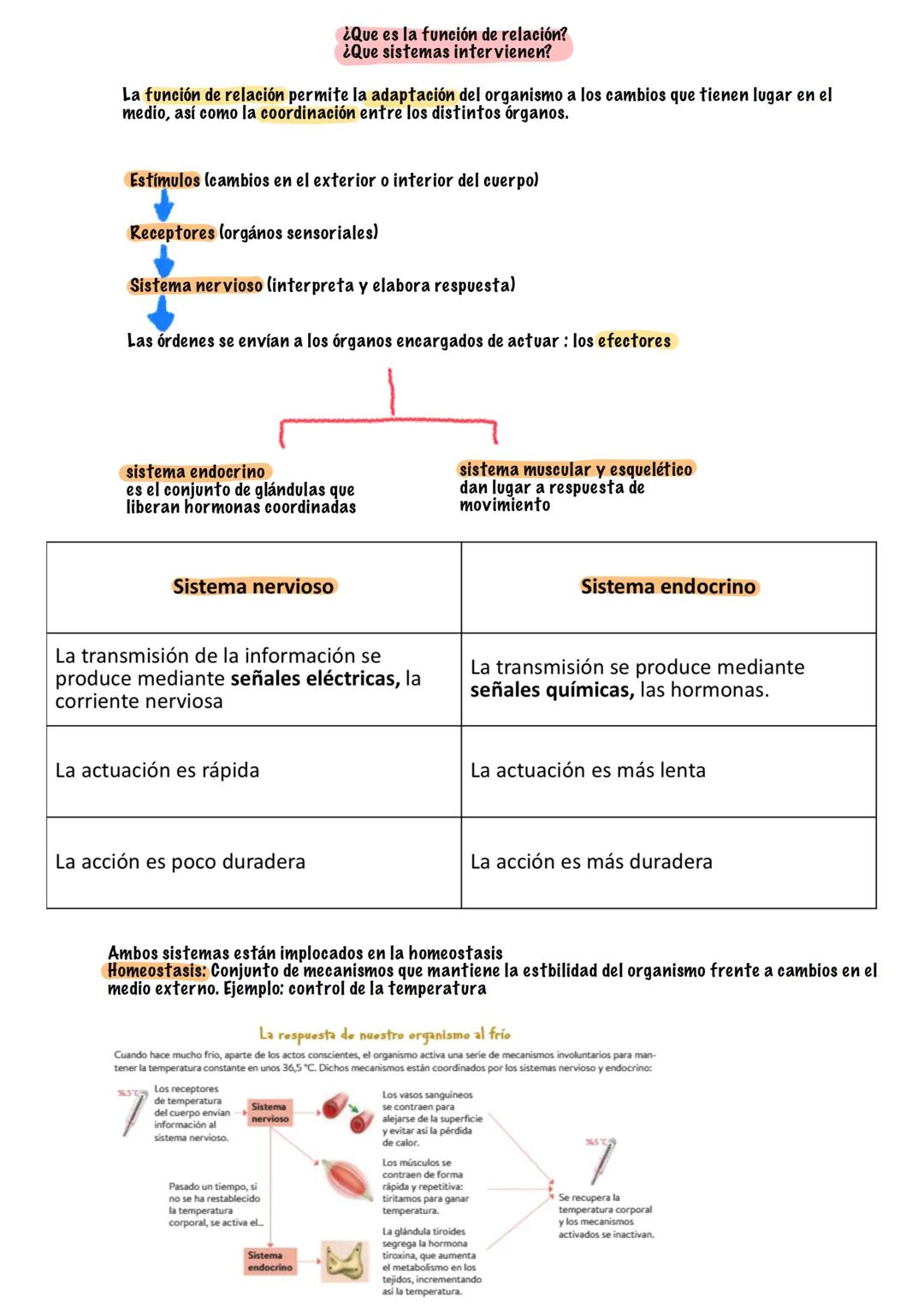 # TEMA 5
SISTEMA NERVIOSO Y ENDOCRINO
# BIOLOGÍA --- OCR Start ---
¿Que es la función de relación?
¿Que sistemas intervienen?
La función de