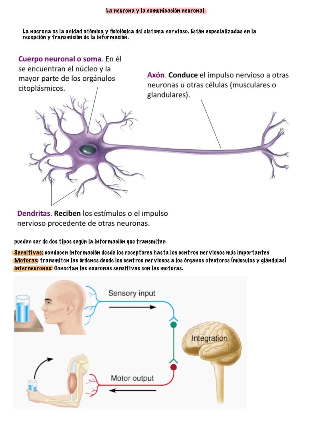 # TEMA 5
SISTEMA NERVIOSO Y ENDOCRINO
# BIOLOGÍA --- OCR Start ---
¿Que es la función de relación?
¿Que sistemas intervienen?
La función de