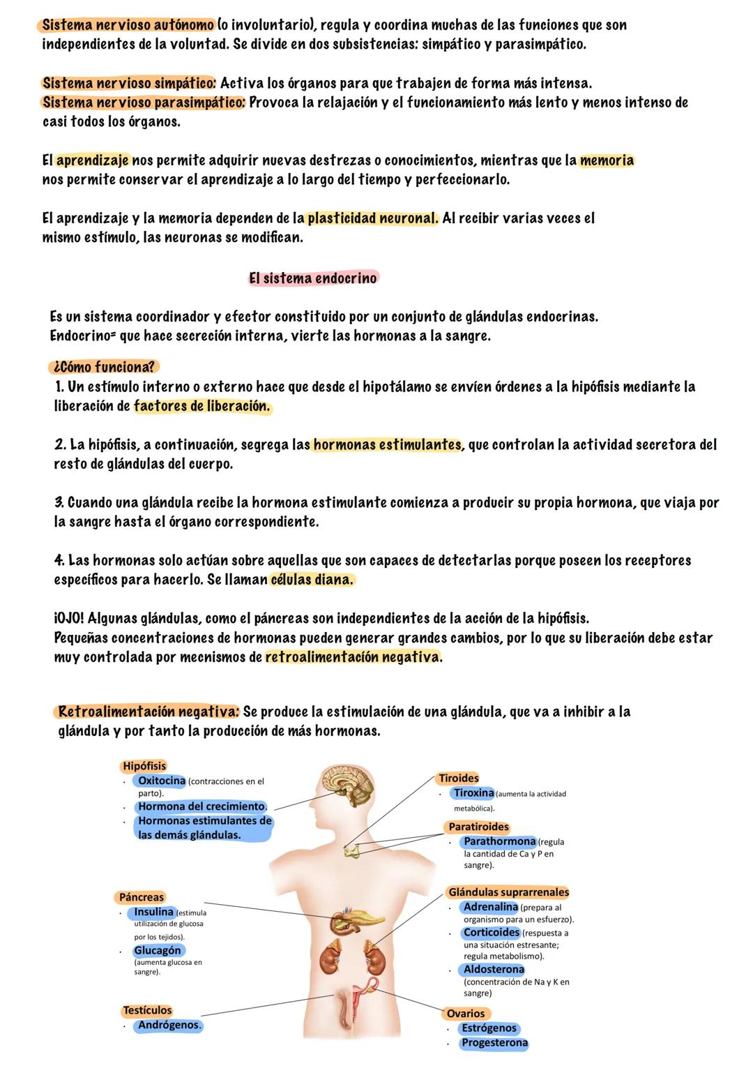# TEMA 5
SISTEMA NERVIOSO Y ENDOCRINO
# BIOLOGÍA --- OCR Start ---
¿Que es la función de relación?
¿Que sistemas intervienen?
La función de