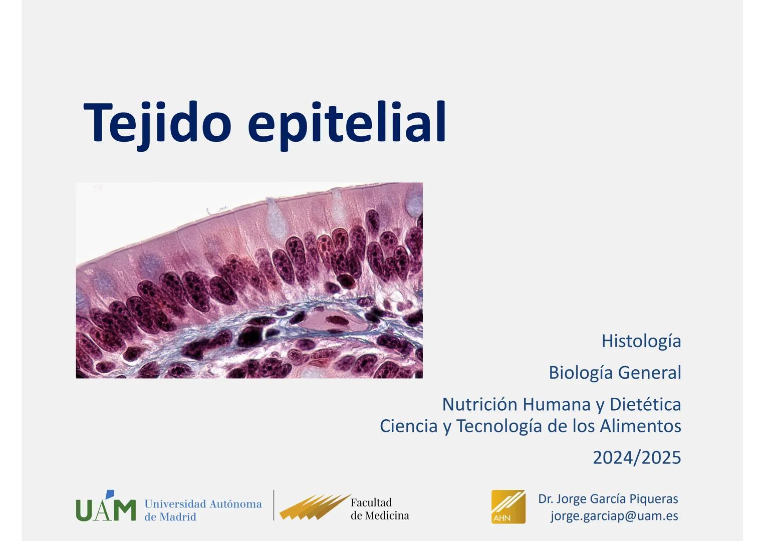 --- OCR Start ---
Tejido epitelial
Histología
Biología General
Nutrición Humana y Dietética
Ciencia y Tecnología de los Alimentos
UAM
Univer
