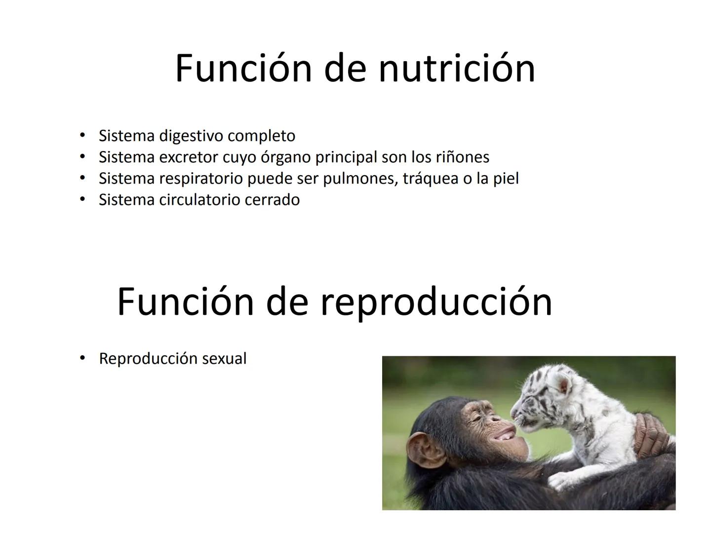 # Tema 7
"Animales vertebrados" # Características de los animales
vertebrados
1. Esqueleto interno:
- Formado por huesos
y cartílagos
-Tie