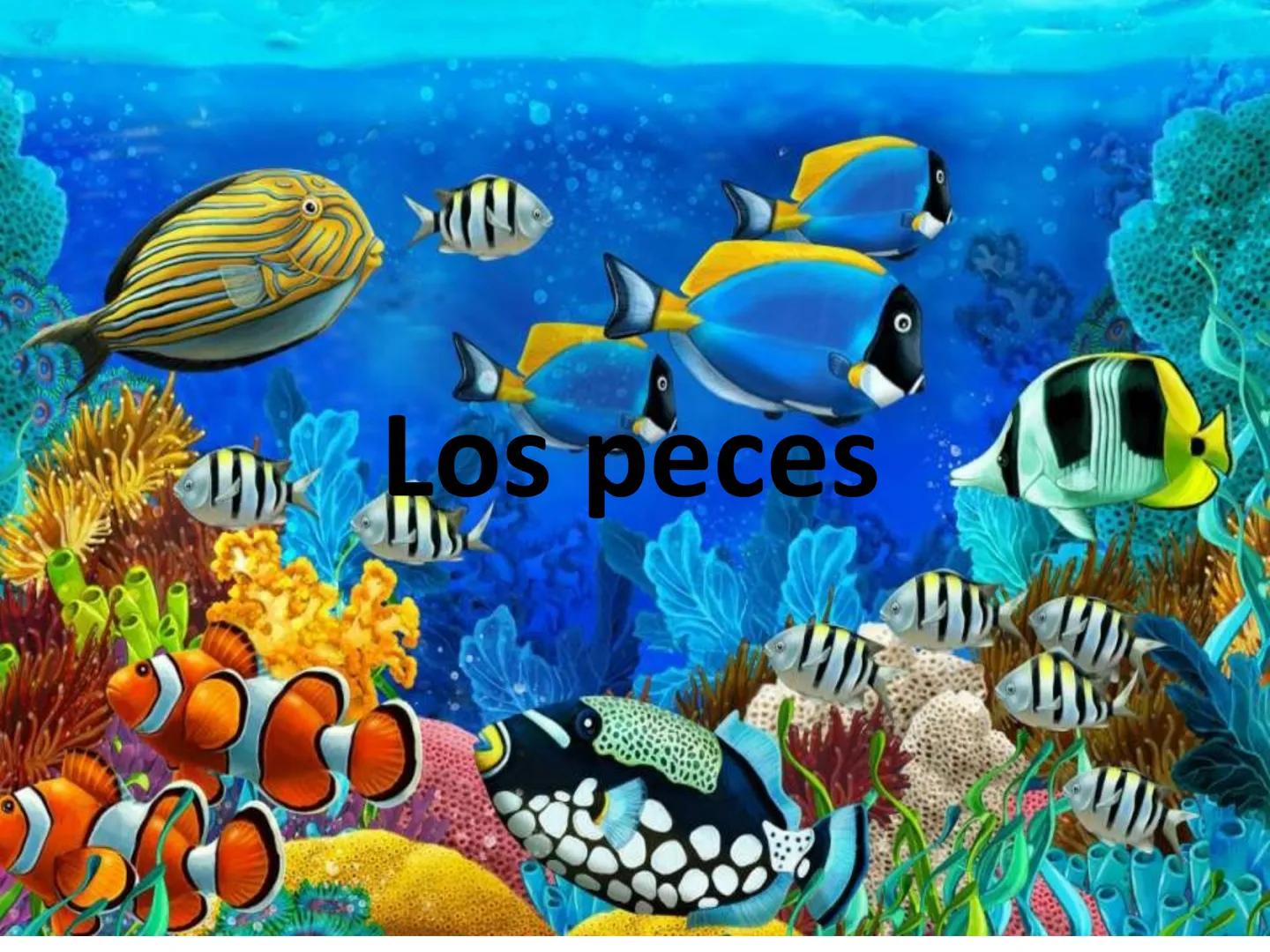 # Tema 7
"Animales vertebrados" # Características de los animales
vertebrados
1. Esqueleto interno:
- Formado por huesos
y cartílagos
-Tie
