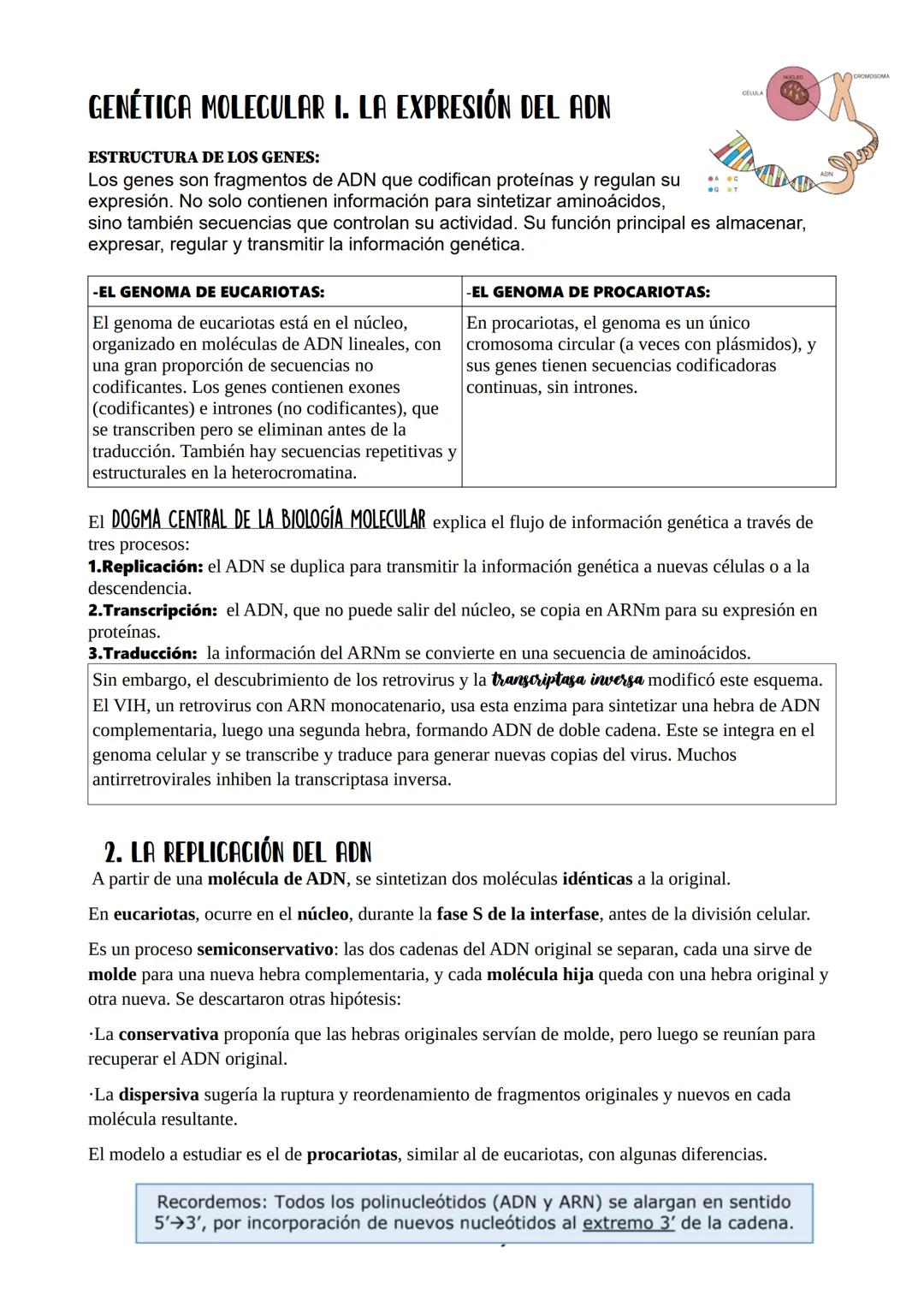 GENÉTICA MOLECULAR 🧬