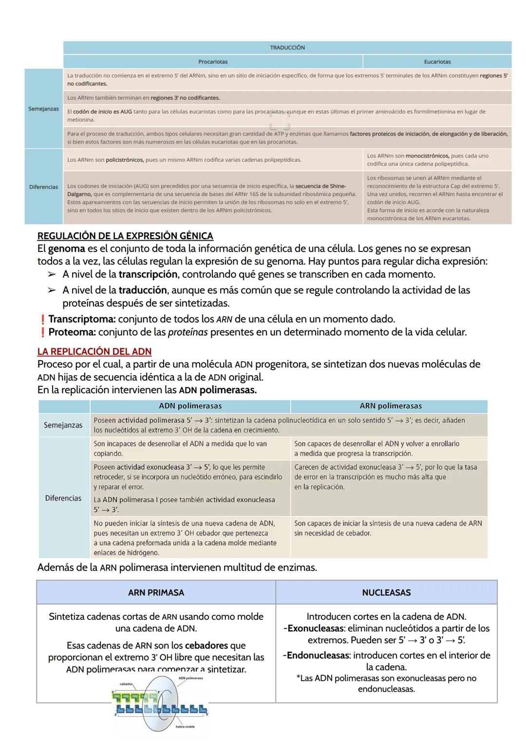 # TEMA 11. GENÉTICA MOLECULAR.
Genética molecular: estudia los mecanismos de la transmisión y expresión de la información
genética que dete