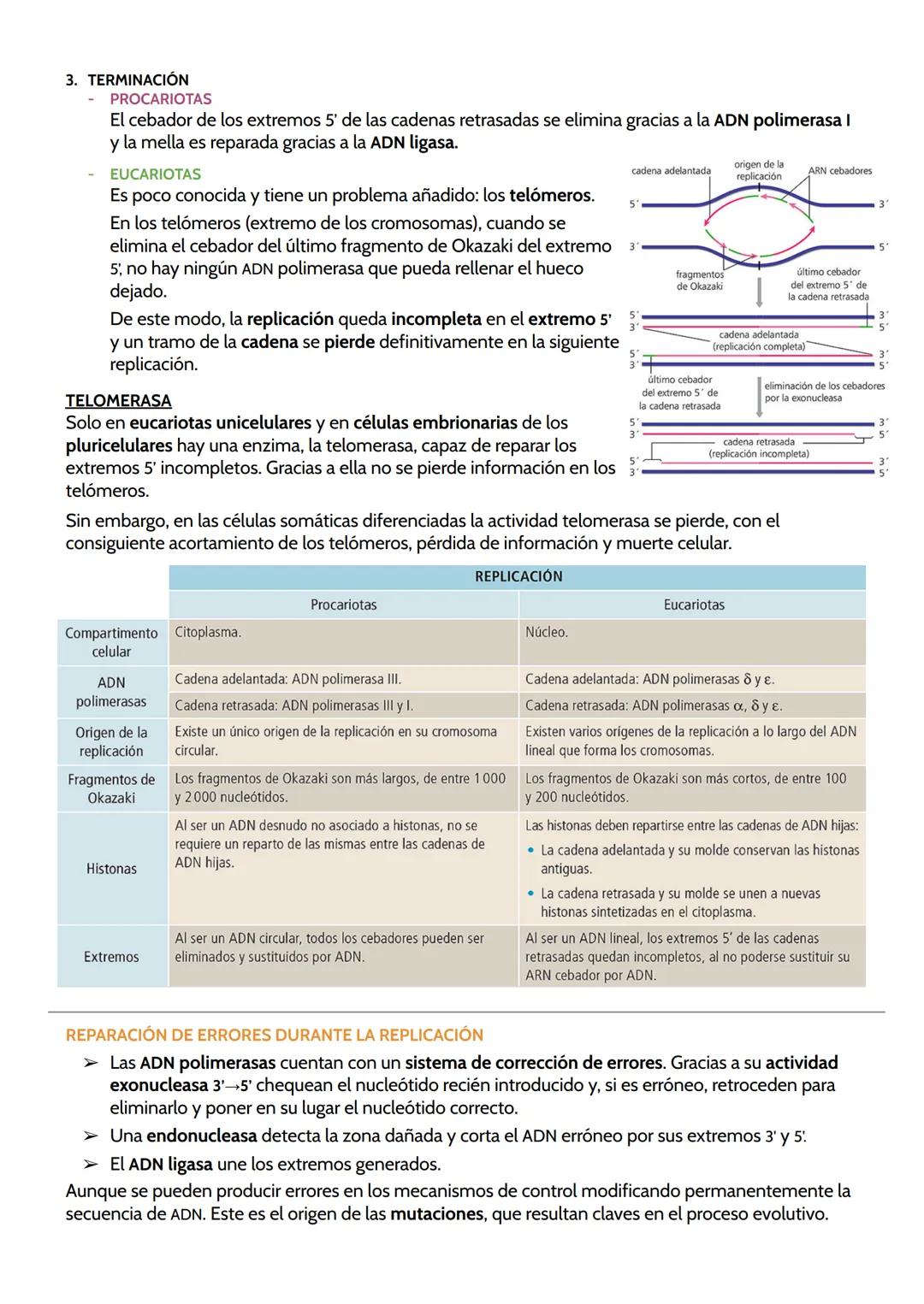 # TEMA 11. GENÉTICA MOLECULAR.
Genética molecular: estudia los mecanismos de la transmisión y expresión de la información
genética que dete