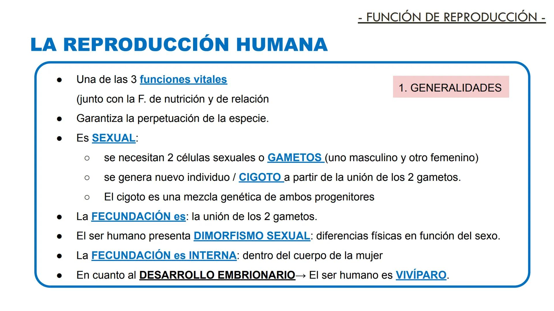 # LA REPRODUCCIÓN
HUMANA
3º BYG LA REPRODUCCIÓN HUMANA
1. GENERALIDADES
-R. Sexual
-Fecundación interna
-Vivíparos
-Sexualidad
-Cambios en