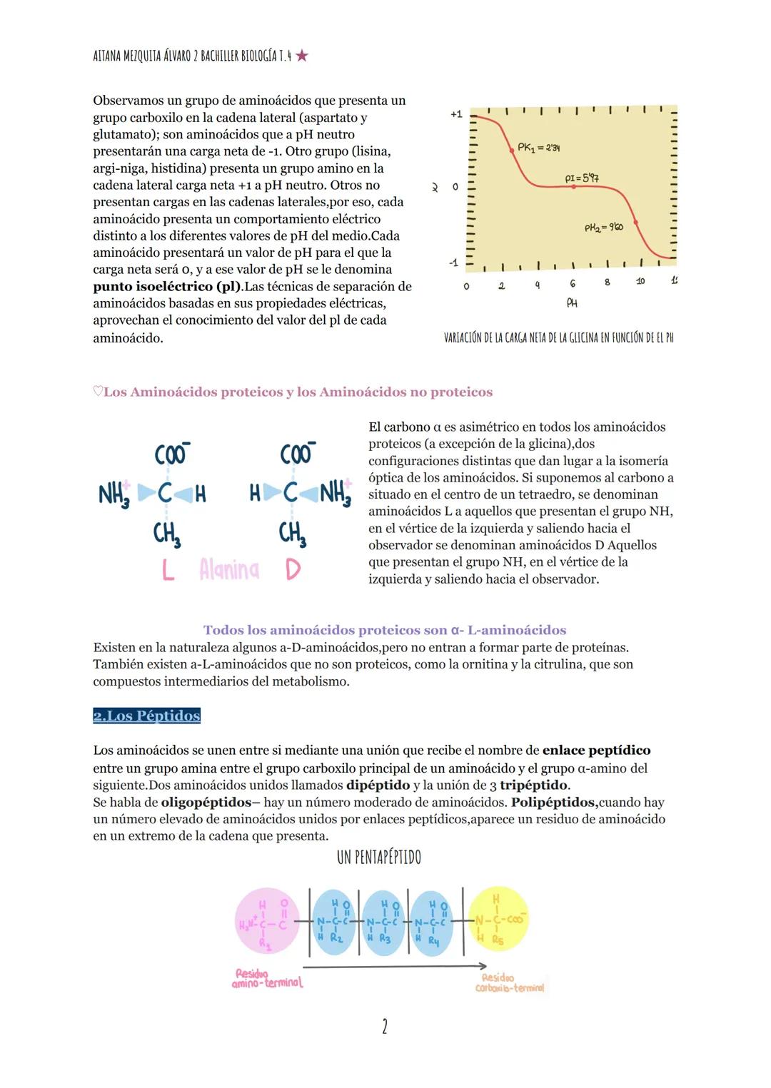 --- OCR Start ---
AITANA MEZQUITA ÁLVARO 2 BACHILLER BIOLOGÍA T.
TEMA 4: LAS PROTEÍNAS
1. Los Aminoácidos
COOH
HN-C-H
R
formula General
EI C