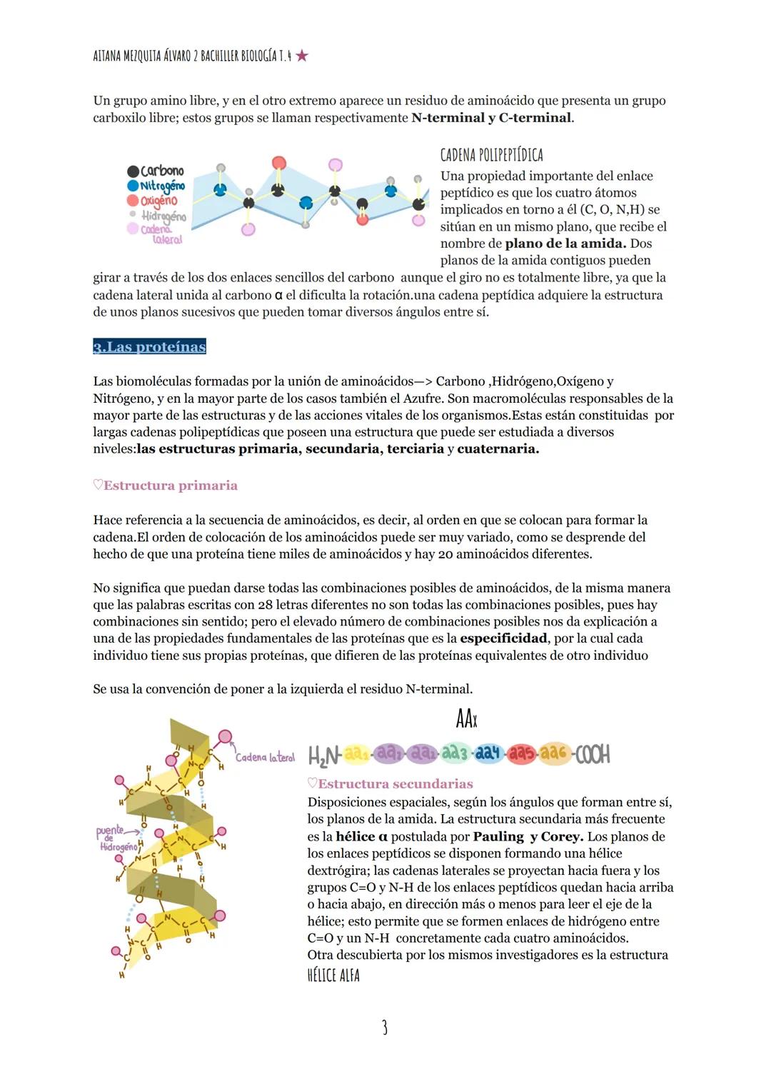 --- OCR Start ---
AITANA MEZQUITA ÁLVARO 2 BACHILLER BIOLOGÍA T.
TEMA 4: LAS PROTEÍNAS
1. Los Aminoácidos
COOH
HN-C-H
R
formula General
EI C