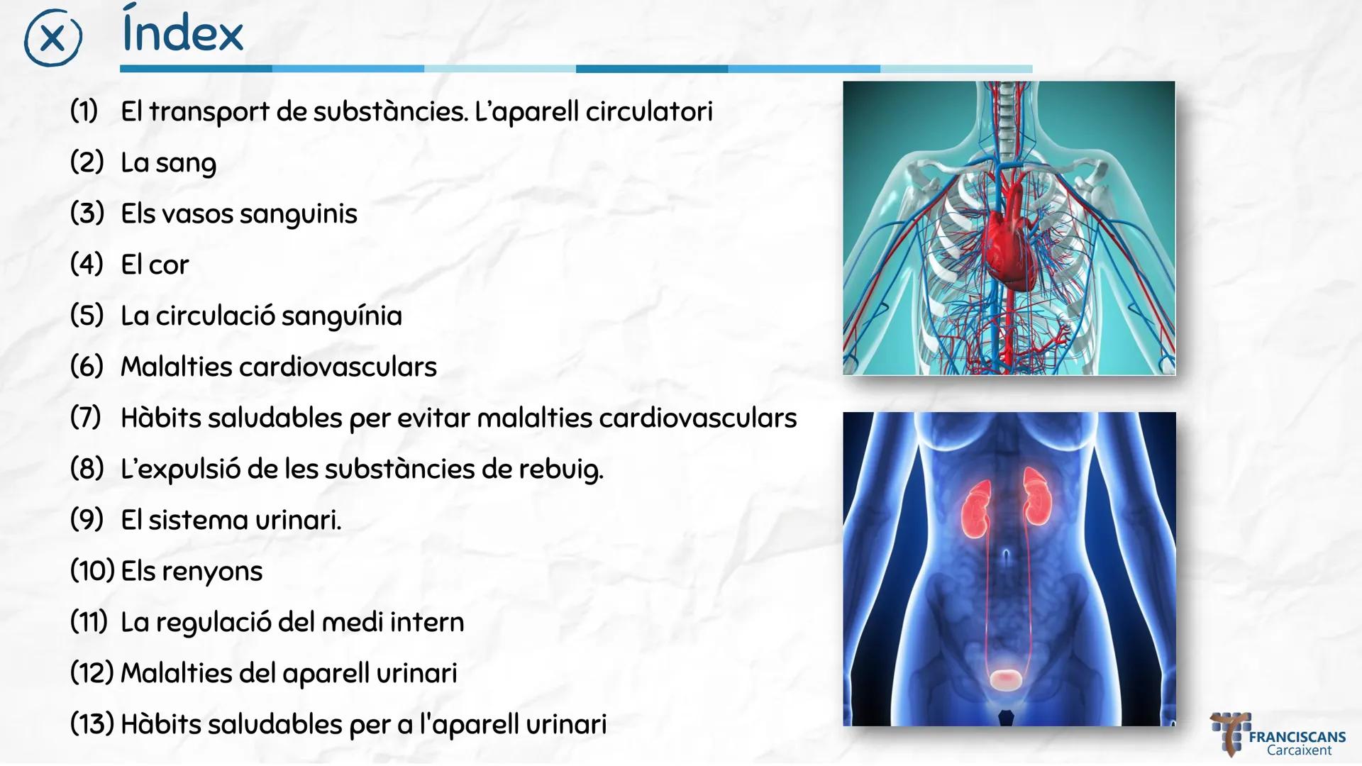# TEMA 4
LA NUTRICIÓ HUMANA (II)
Aparell Circulatori i Aparell Urinari
Biologia 3r ESO
ஃ
$E = mc^2$
سمي
00
$E = mc^2$
002
☆
m
H20
000
0000
0