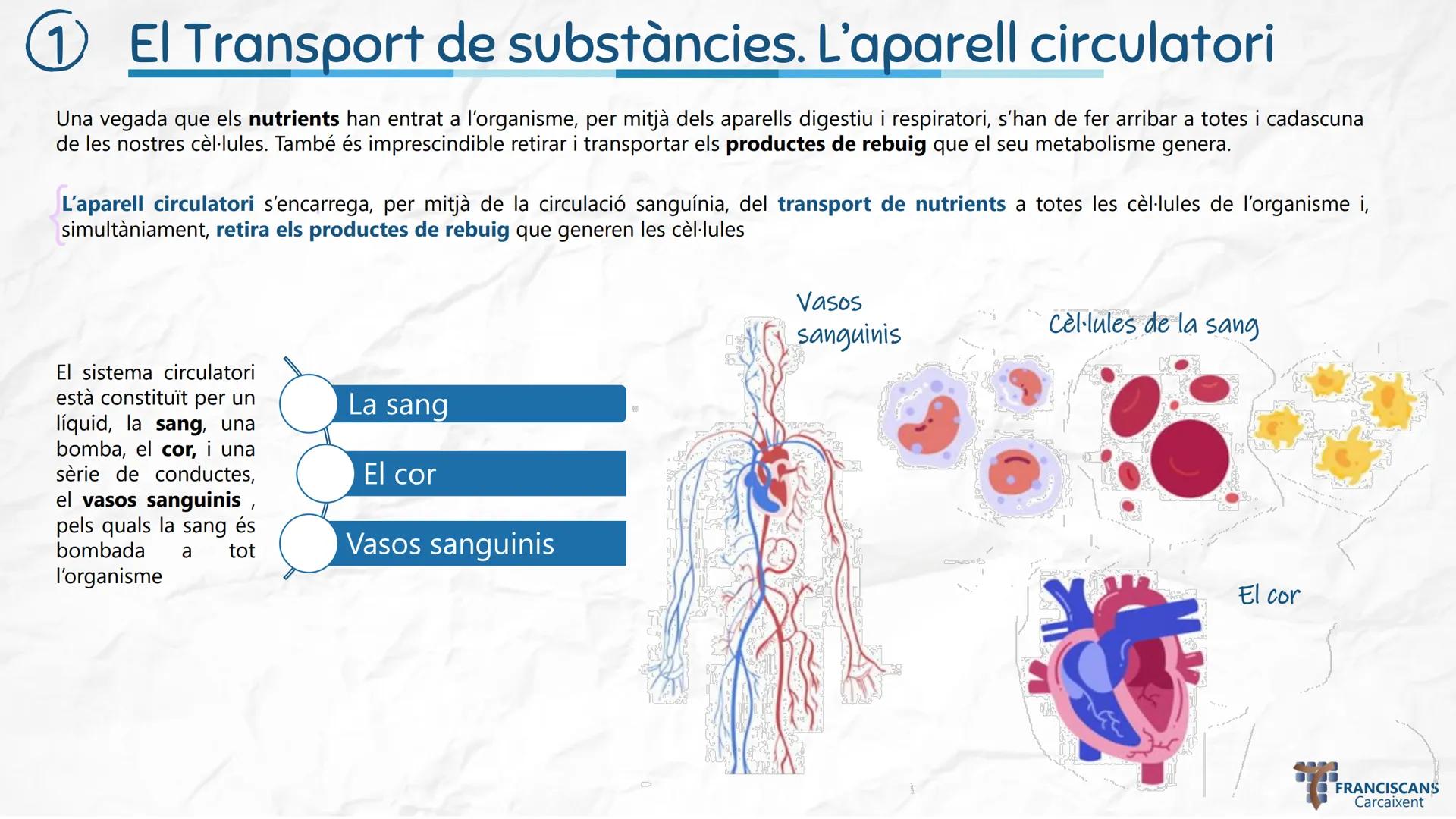 # TEMA 4
LA NUTRICIÓ HUMANA (II)
Aparell Circulatori i Aparell Urinari
Biologia 3r ESO
ஃ
$E = mc^2$
سمي
00
$E = mc^2$
002
☆
m
H20
000
0000
0