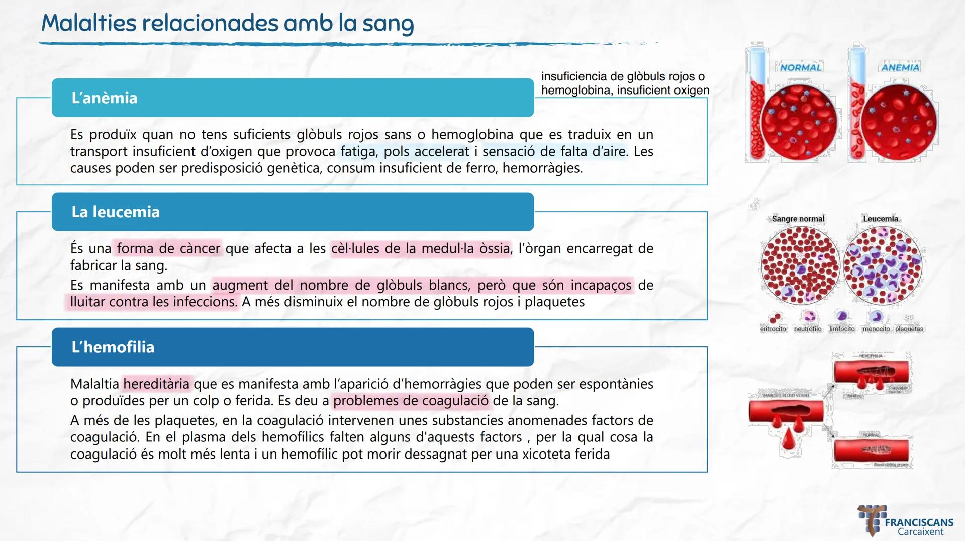 # TEMA 4
LA NUTRICIÓ HUMANA (II)
Aparell Circulatori i Aparell Urinari
Biologia 3r ESO
ஃ
$E = mc^2$
سمي
00
$E = mc^2$
002
☆
m
H20
000
0000
0
