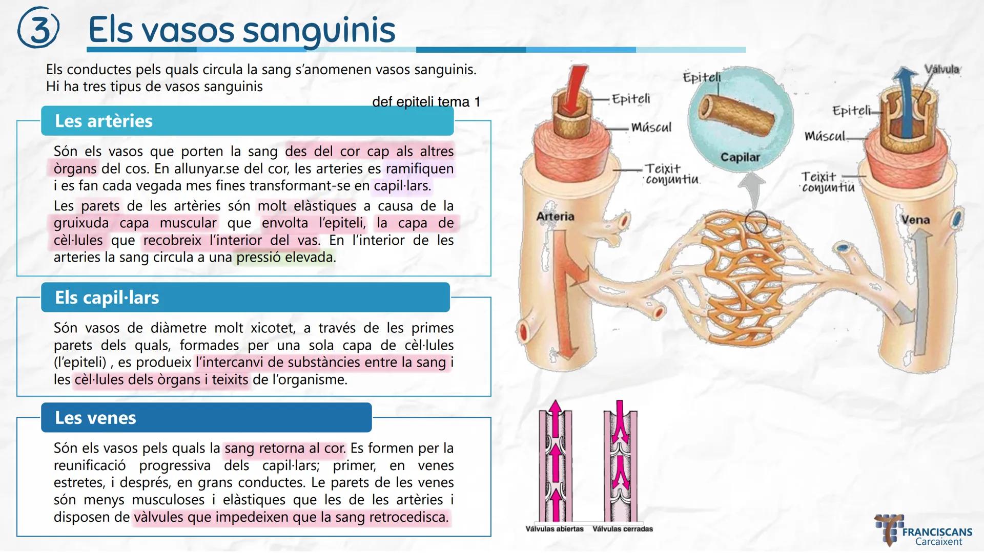 # TEMA 4
LA NUTRICIÓ HUMANA (II)
Aparell Circulatori i Aparell Urinari
Biologia 3r ESO
ஃ
$E = mc^2$
سمي
00
$E = mc^2$
002
☆
m
H20
000
0000
0