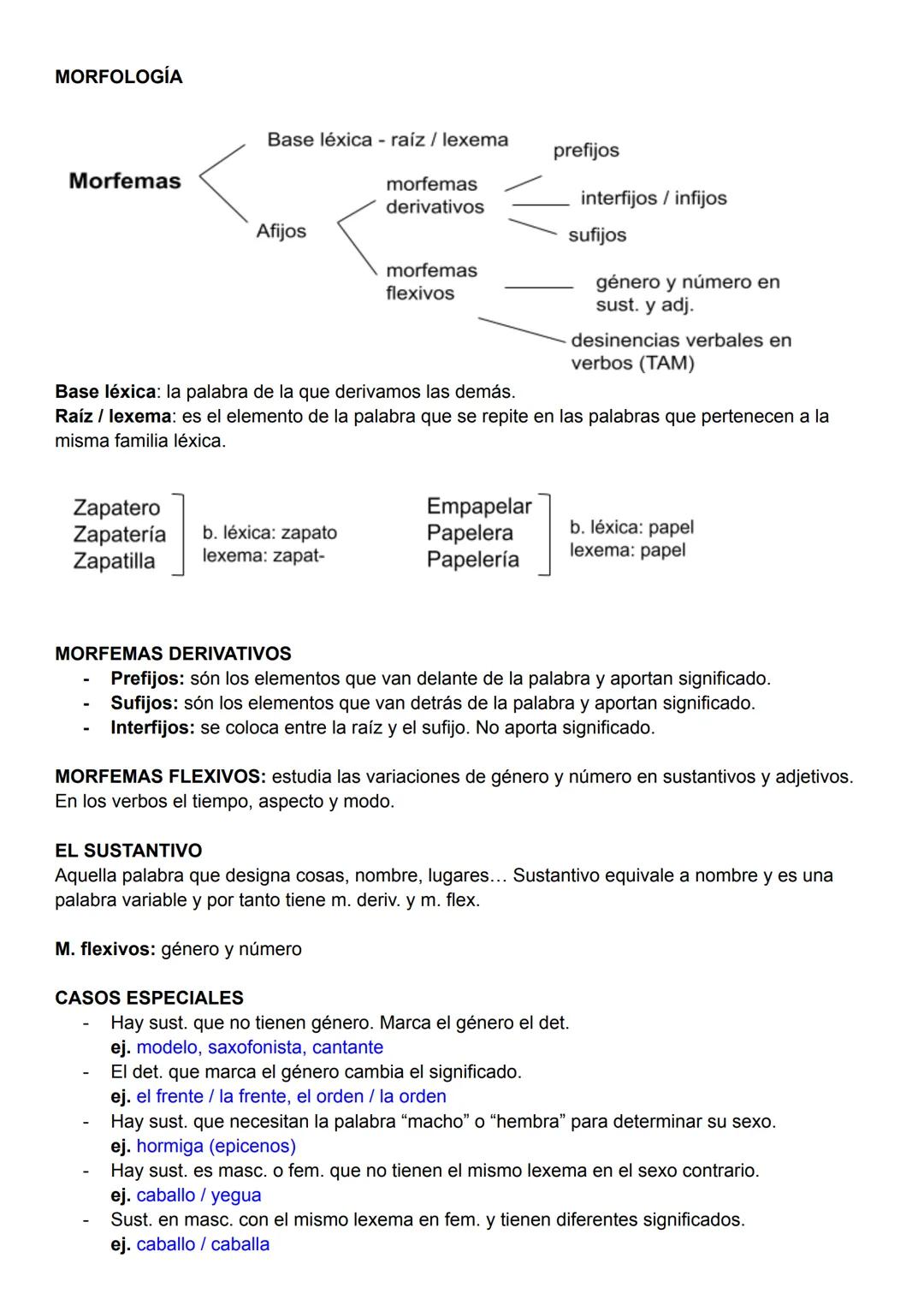 # MORFOLOGÍA
1°EVALUACIÓN
- Resumen Texto (seguro)
- Tipos de Argumentos
- Juicio, Opinión o Tesis del autor
- Tipo de Estructura
TIPOS DE