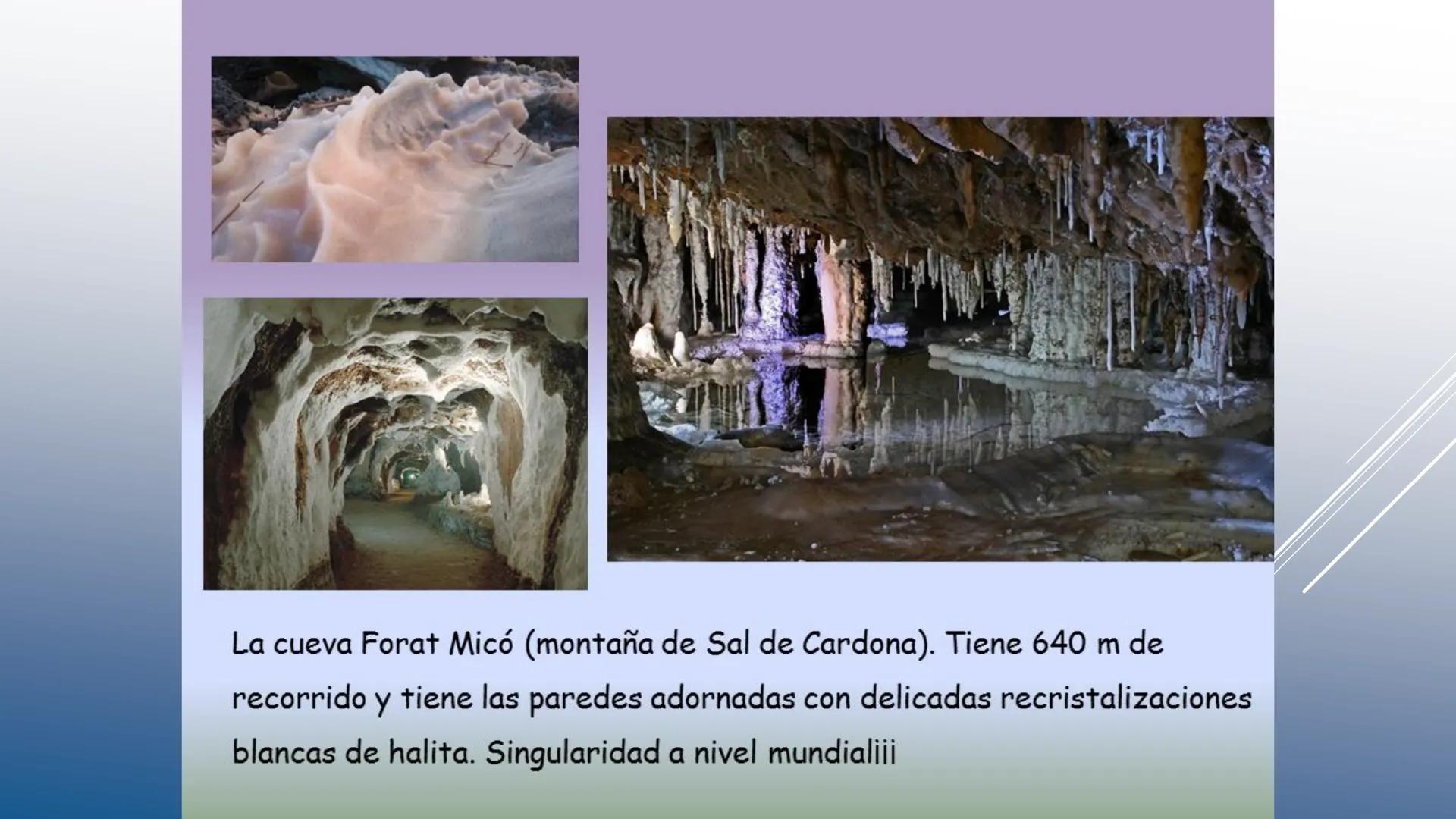 # TEMA 5 GEODINÁMICA EXTERNA
PROCESOS GEOLÓGICOS EXTERNOS
Erosión Transporte Sedimentación
Sedimentos # INTERACCIONES GEOLÓGICAS EN LA SU