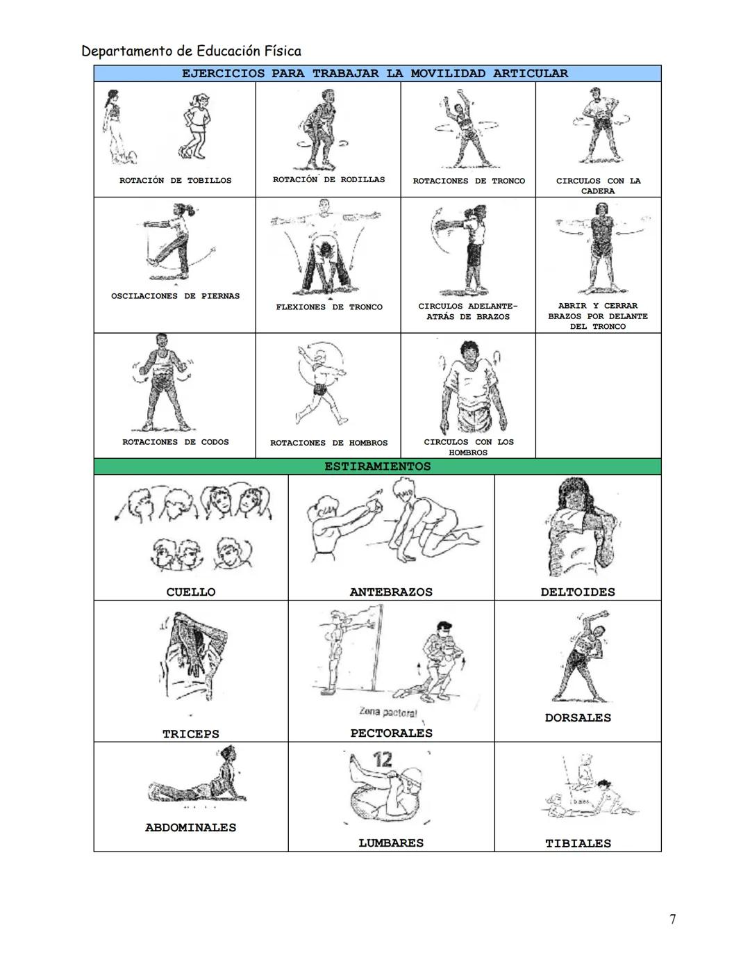 Departamento de Educación Física
# EL CALENTΑΜΙΕΝΤΟ
EI CALENTAMIENTO es la serie de ejercicios que se deben realizar siempre ANTES de cual