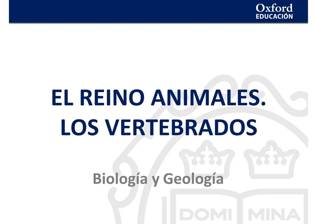 ANIMALES VERTEBRADOS