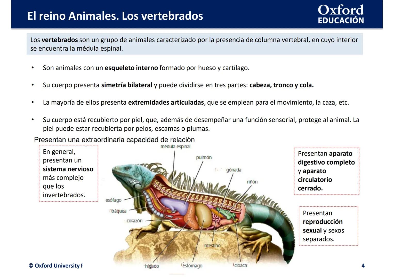 # Oxford
EDUCACIÓN
EL REINO ANIMALES.
LOS VERTEBRADOS
Biología y Geología
DOMI MINA --- OCR Start ---
El reino Animales. Los vertebrados