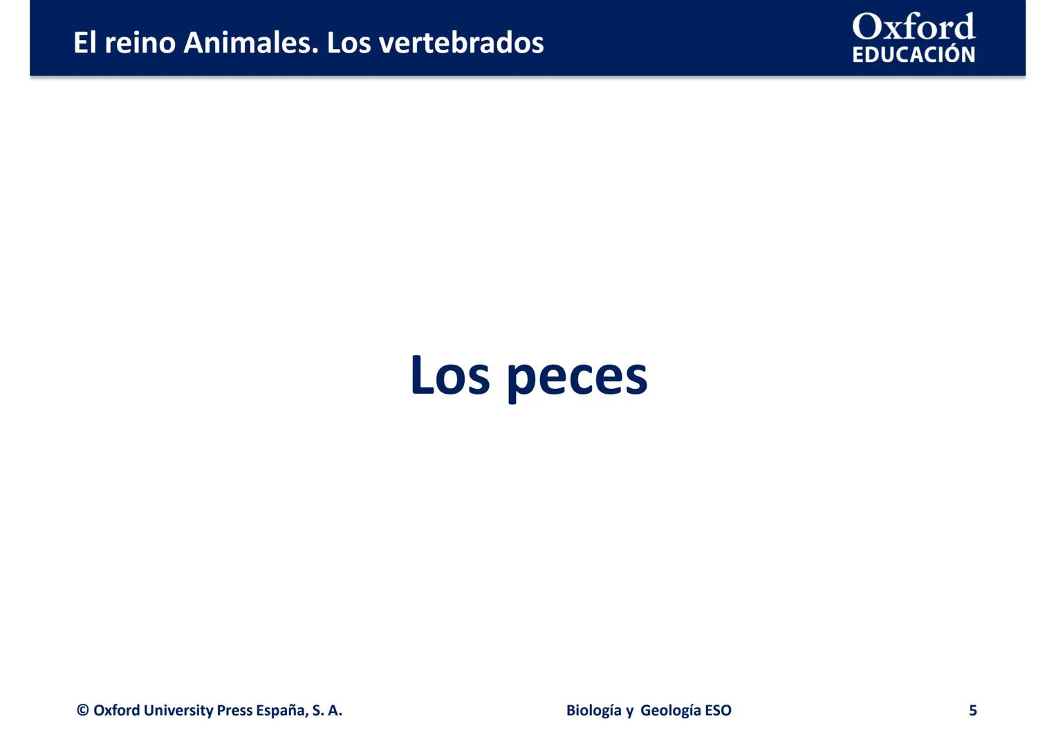 # Oxford
EDUCACIÓN
EL REINO ANIMALES.
LOS VERTEBRADOS
Biología y Geología
DOMI MINA --- OCR Start ---
El reino Animales. Los vertebrados